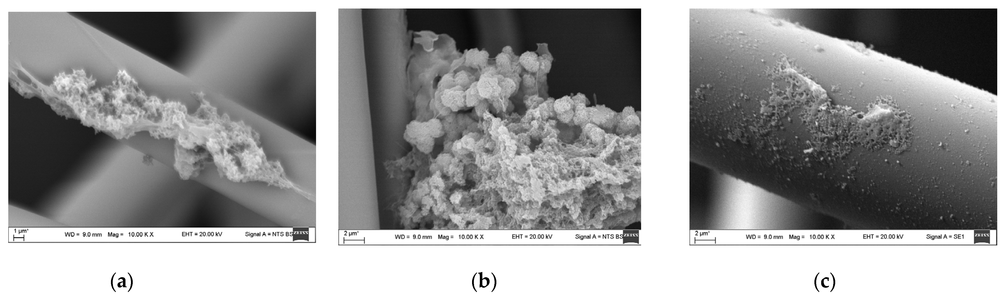 Sustainability 17 04202 g007