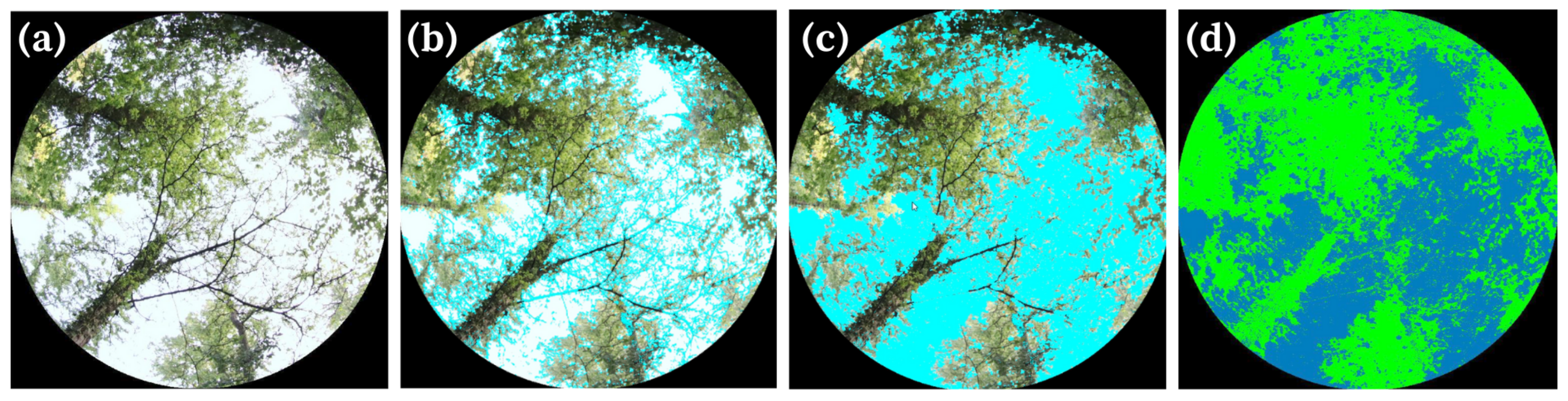 Sustainability 17 04204 g002