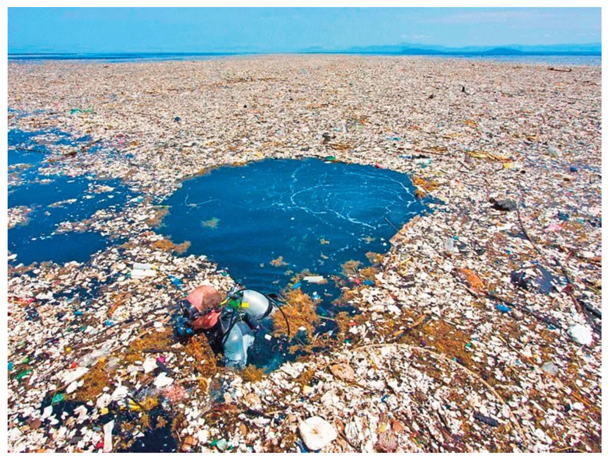 Sustainability 17 04298 g0a1