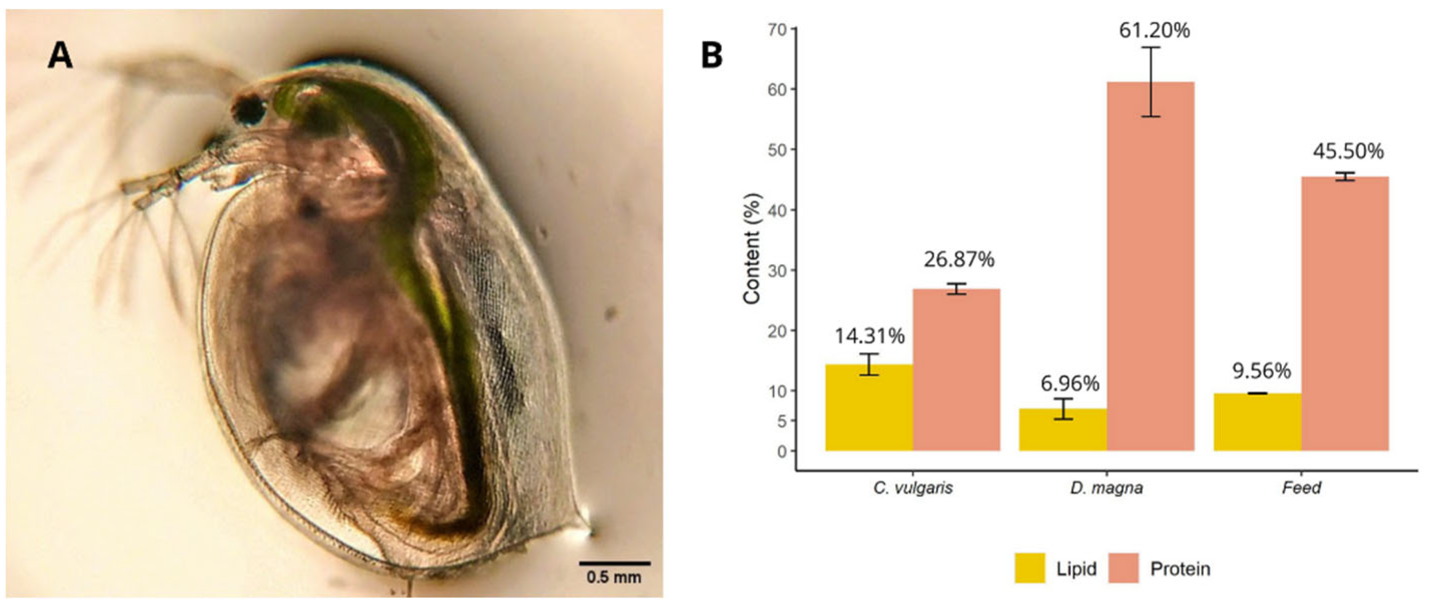 Sustainability 17 04674 g001