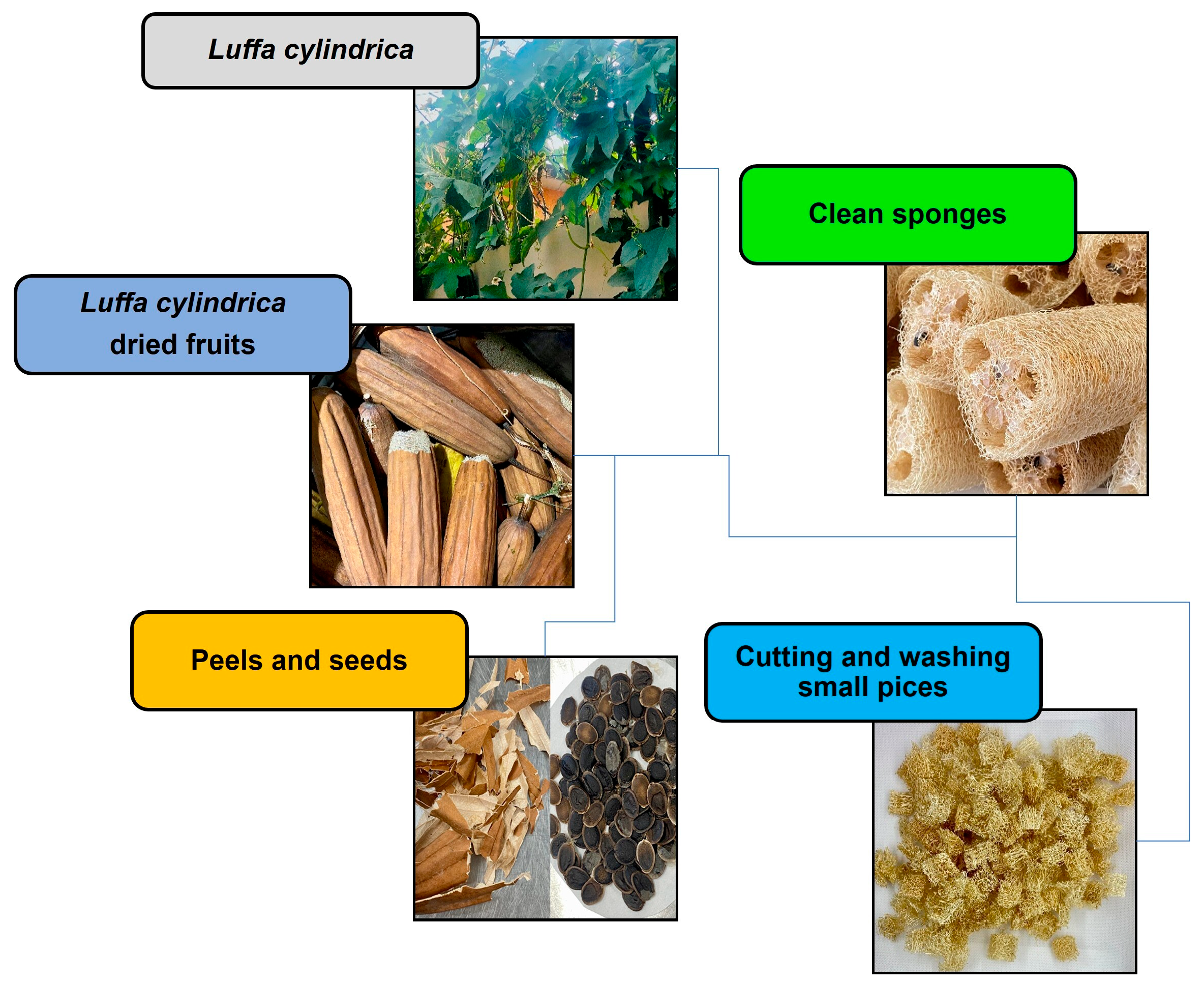 Sustainability 17 04816 g002