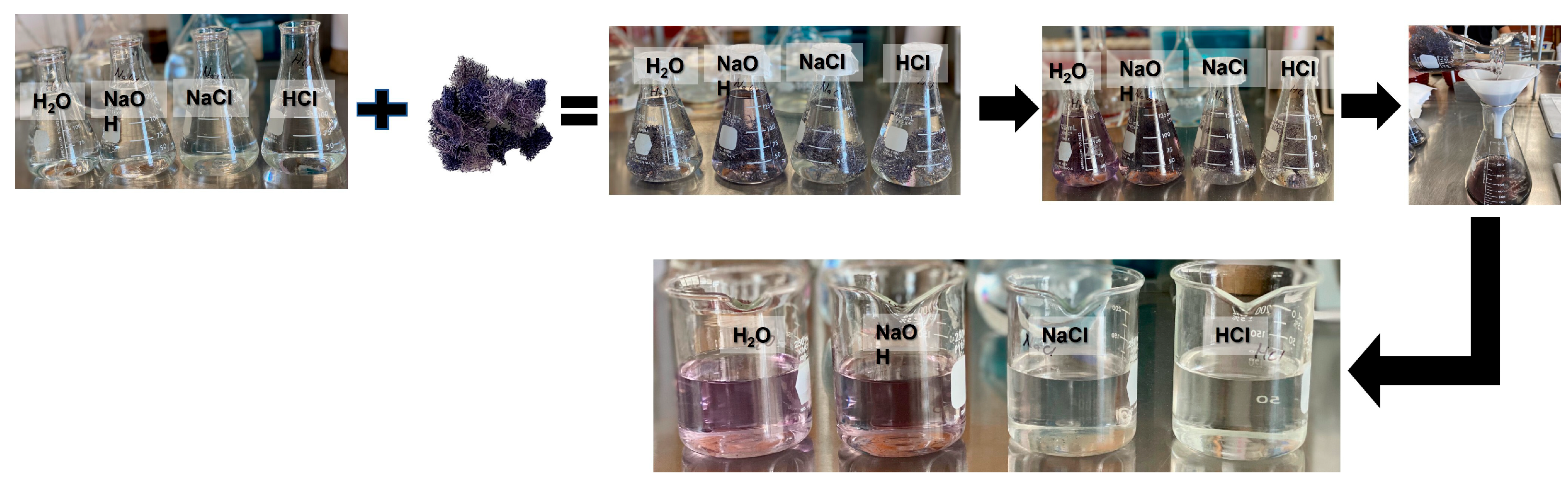 Sustainability 17 04816 g003