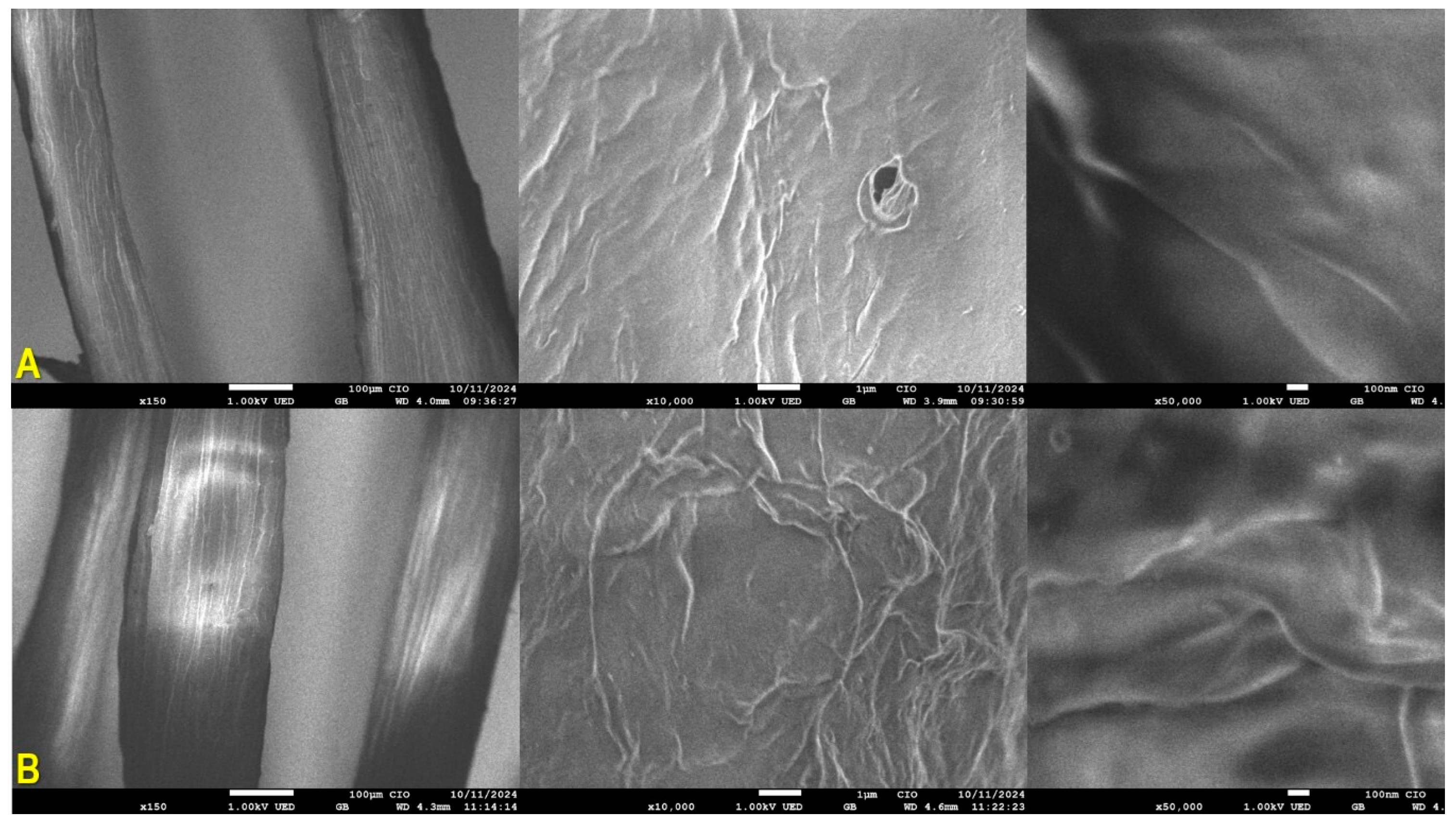 Sustainability 17 04816 g012