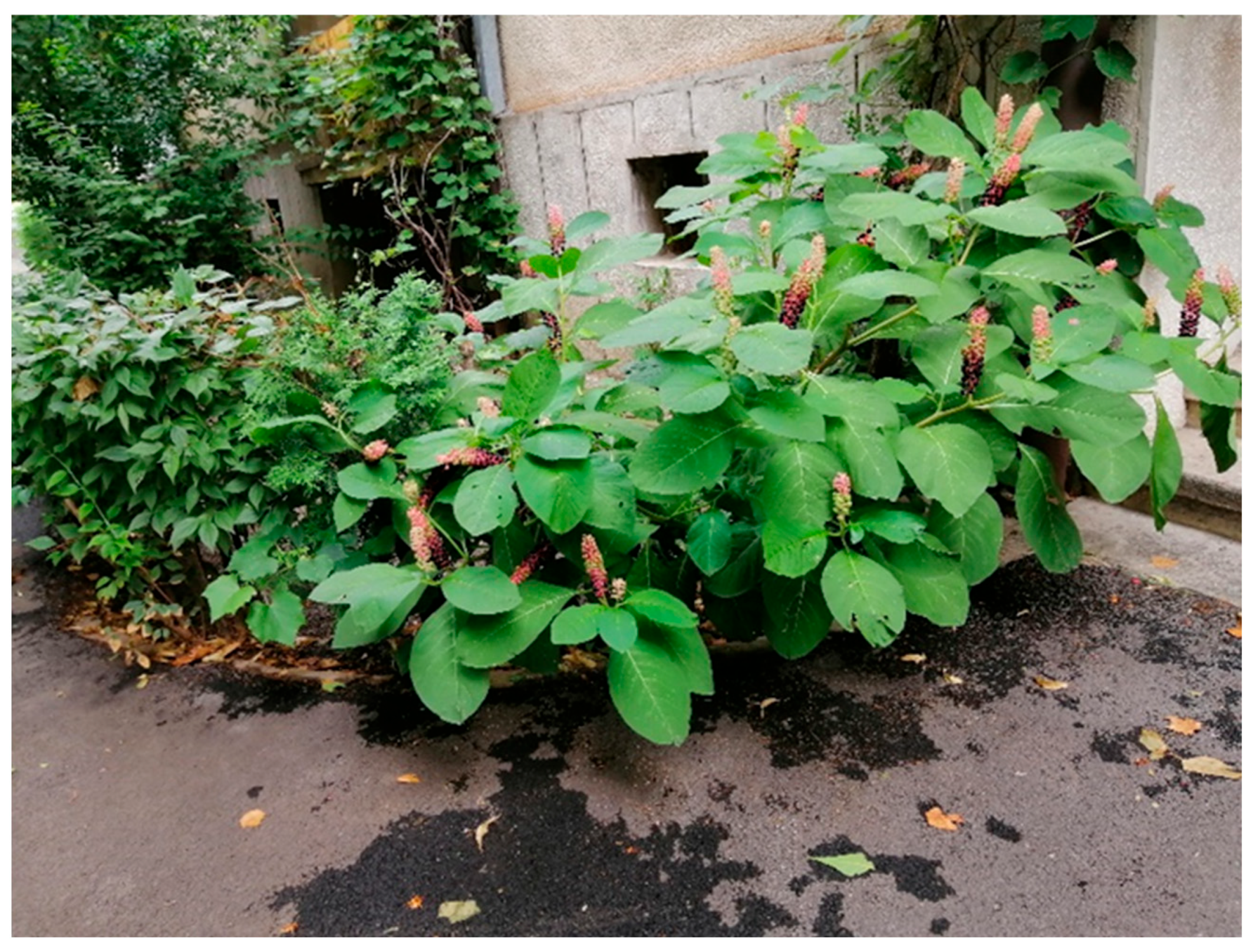 Sustainability 17 04826 g003