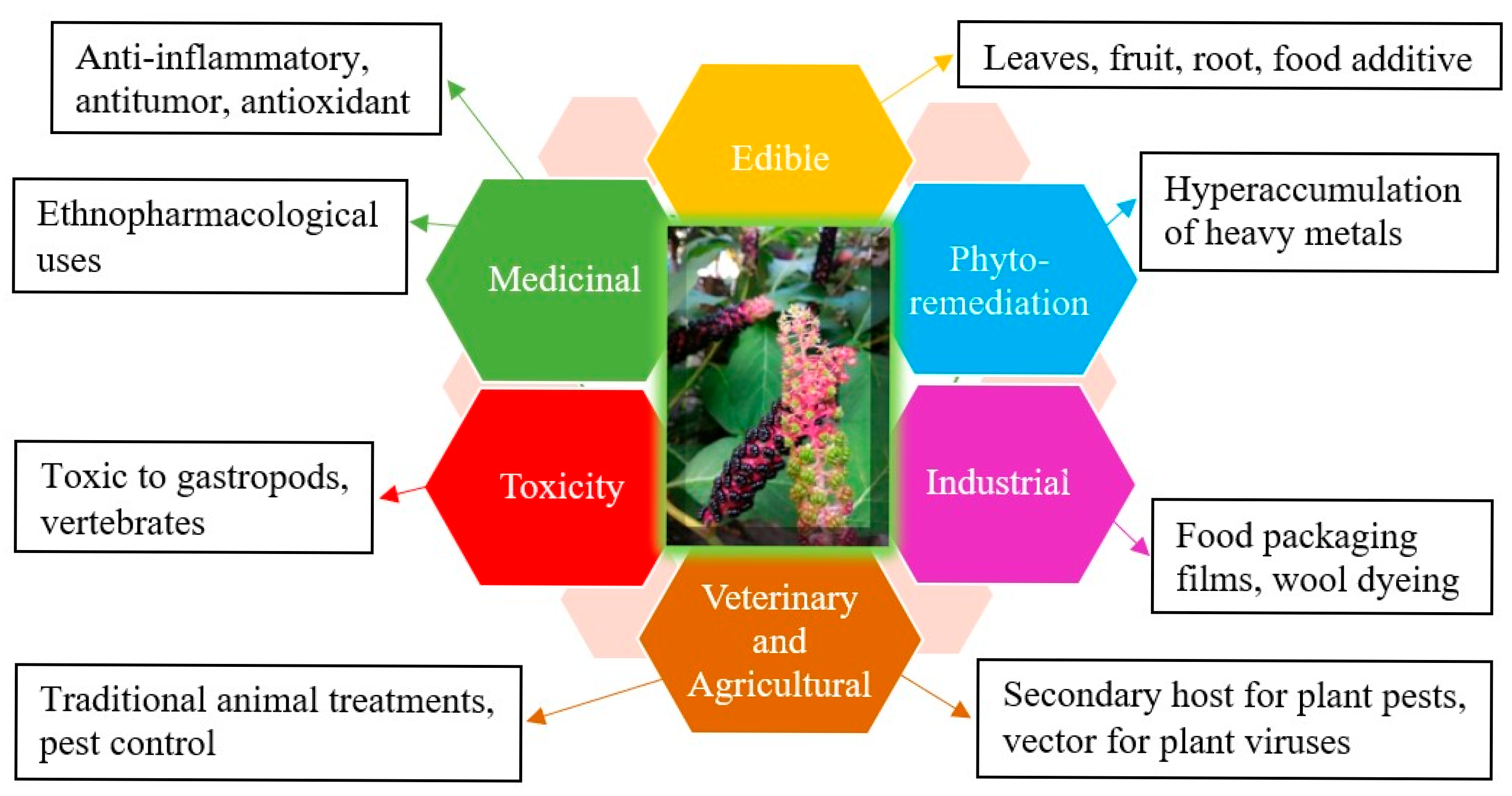 Sustainability 17 04826 g004