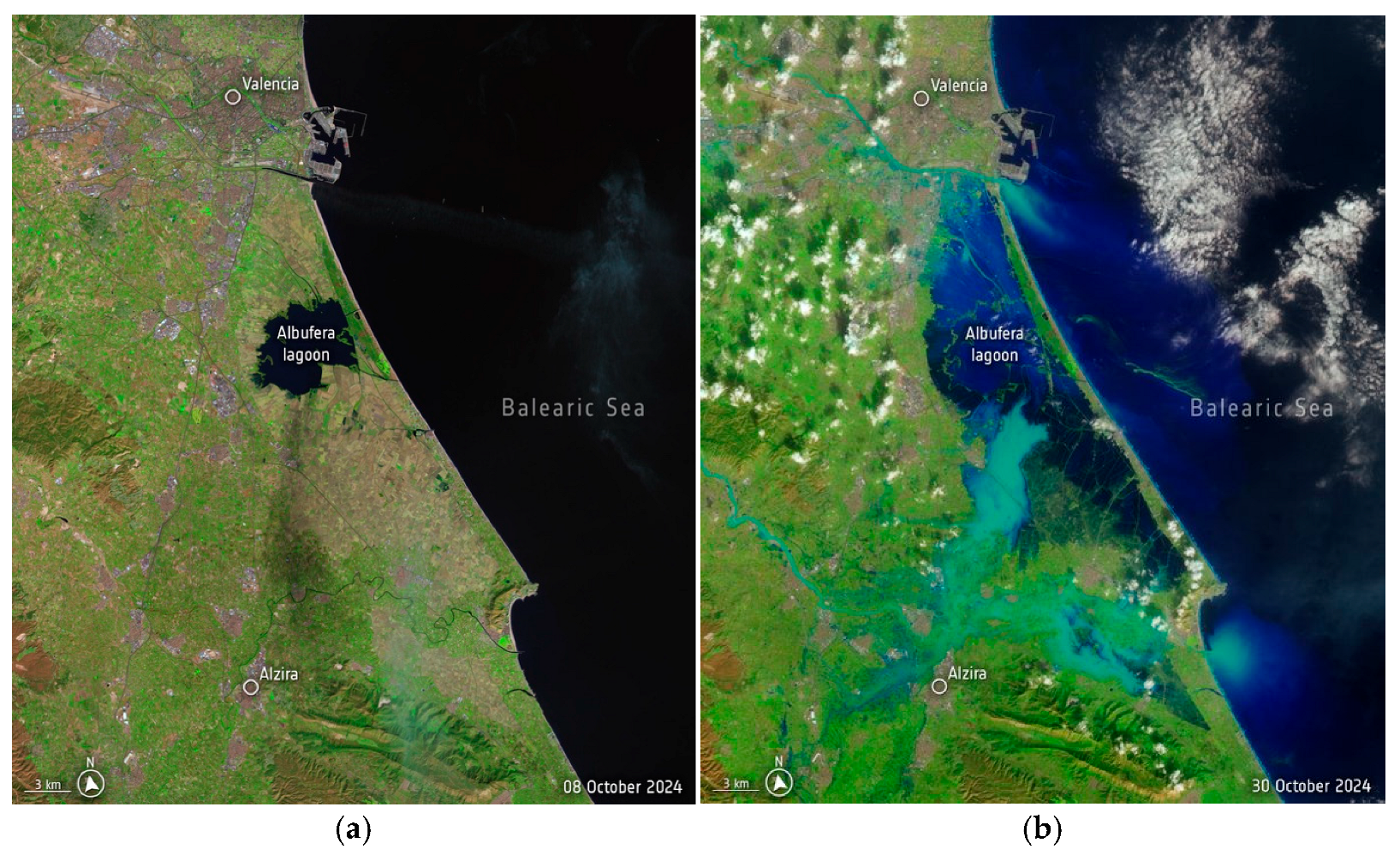 Sustainability 17 04980 g002