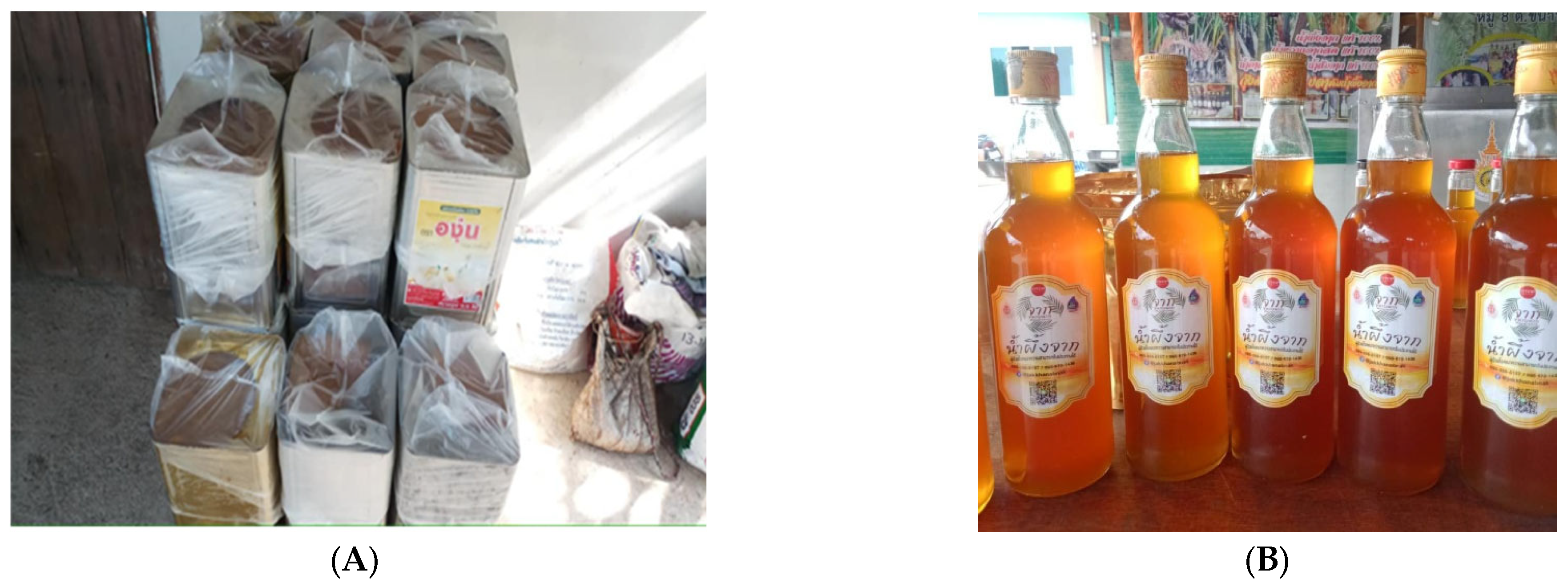 Sustainability 17 05045 g001a