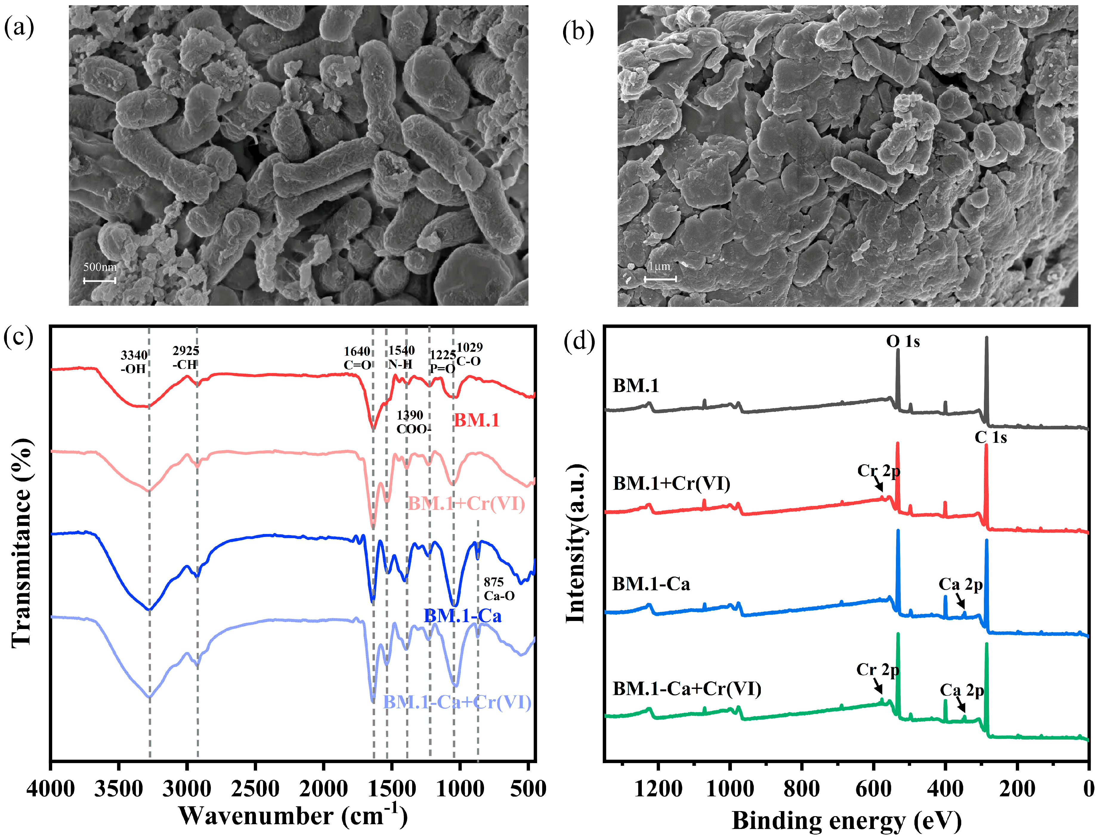 Sustainability 17 05172 g004