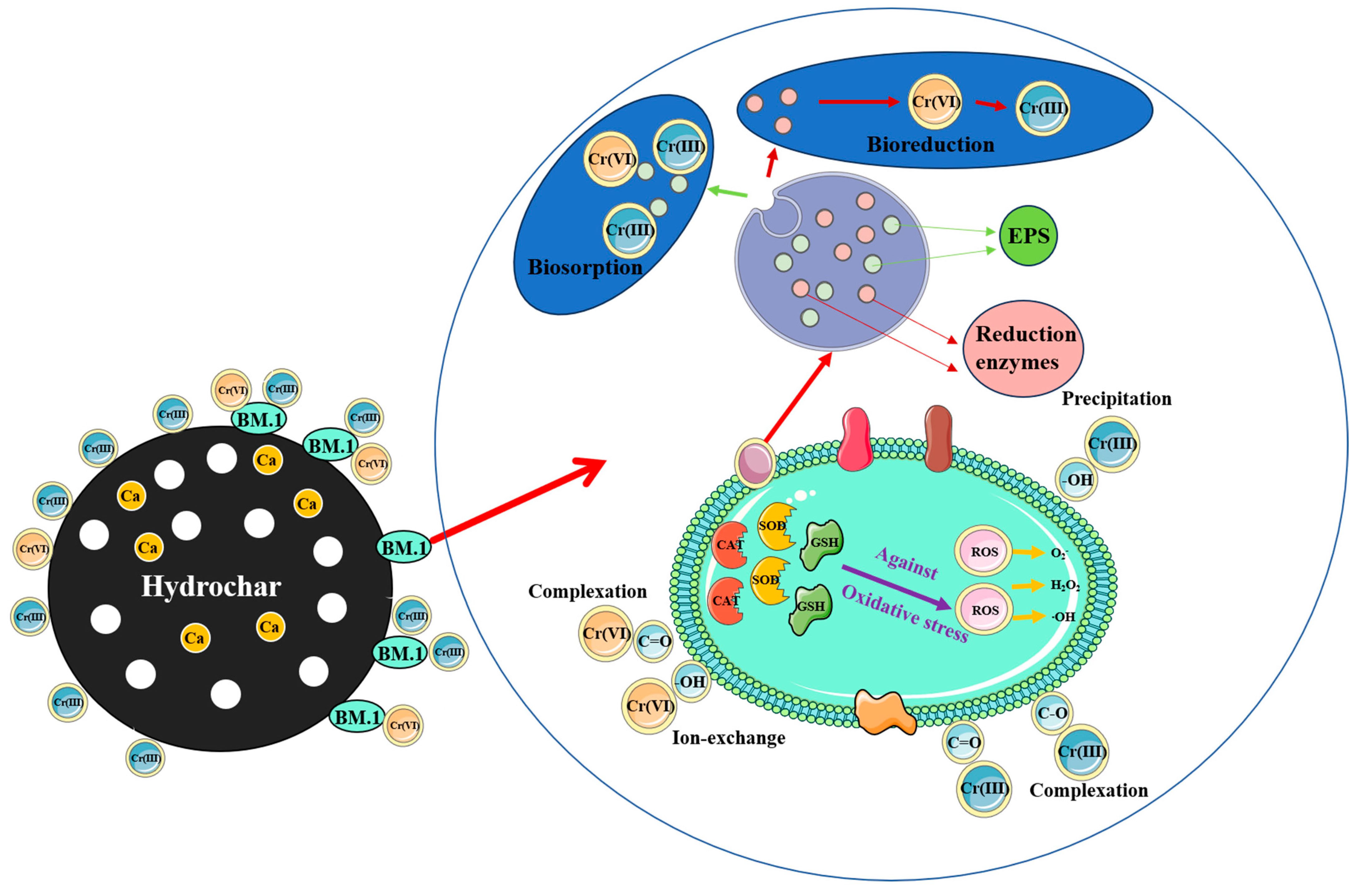 Sustainability 17 05172 g008