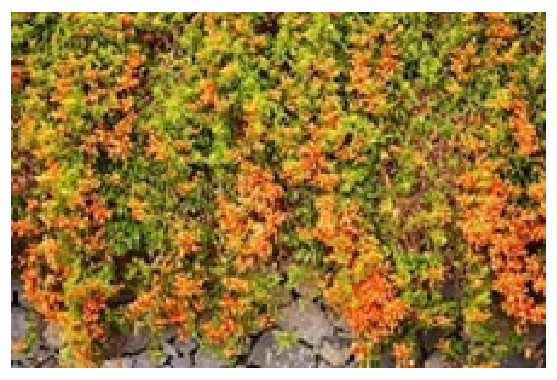 Sustainability 17 05176 i001