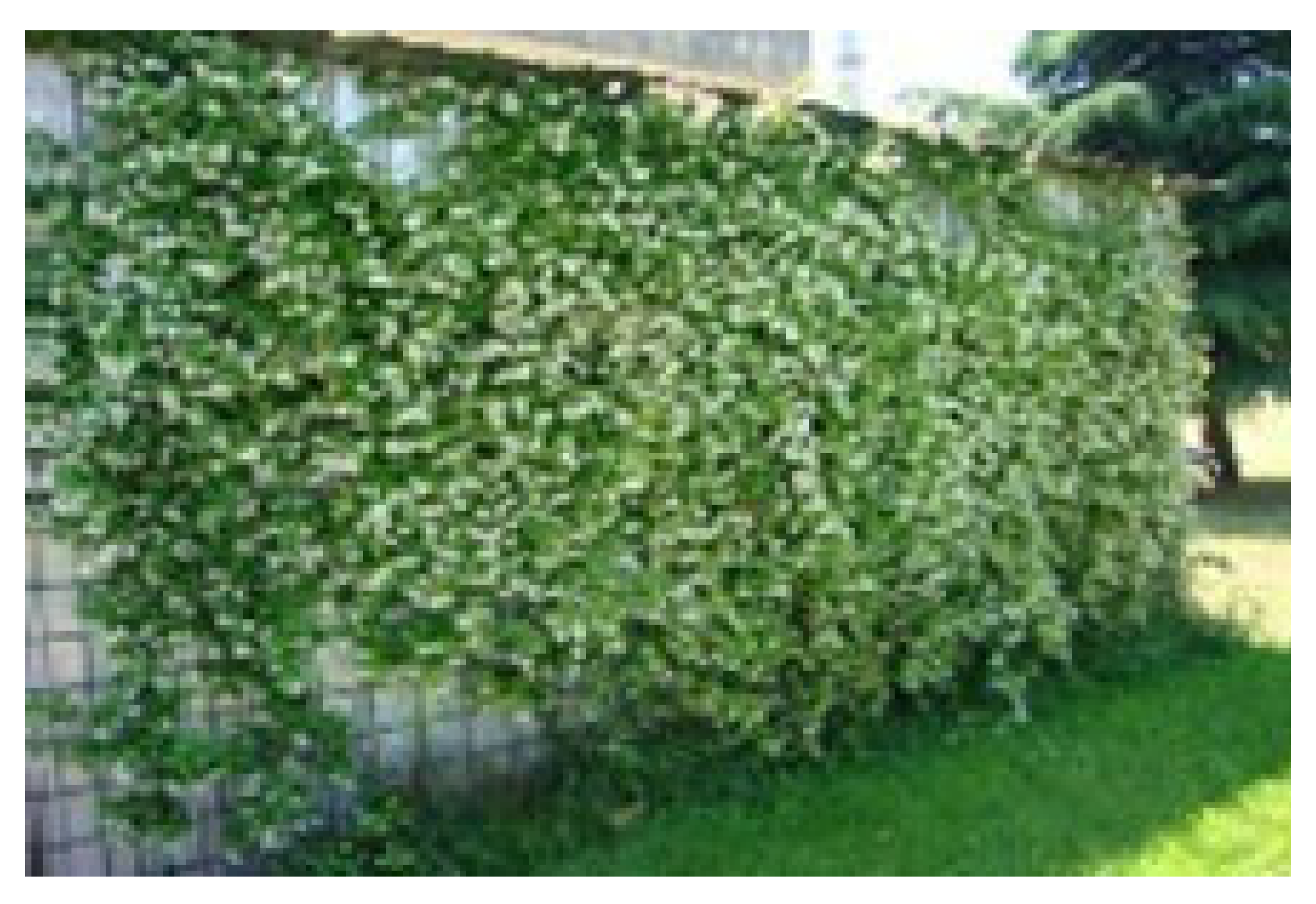 Sustainability 17 05176 i002