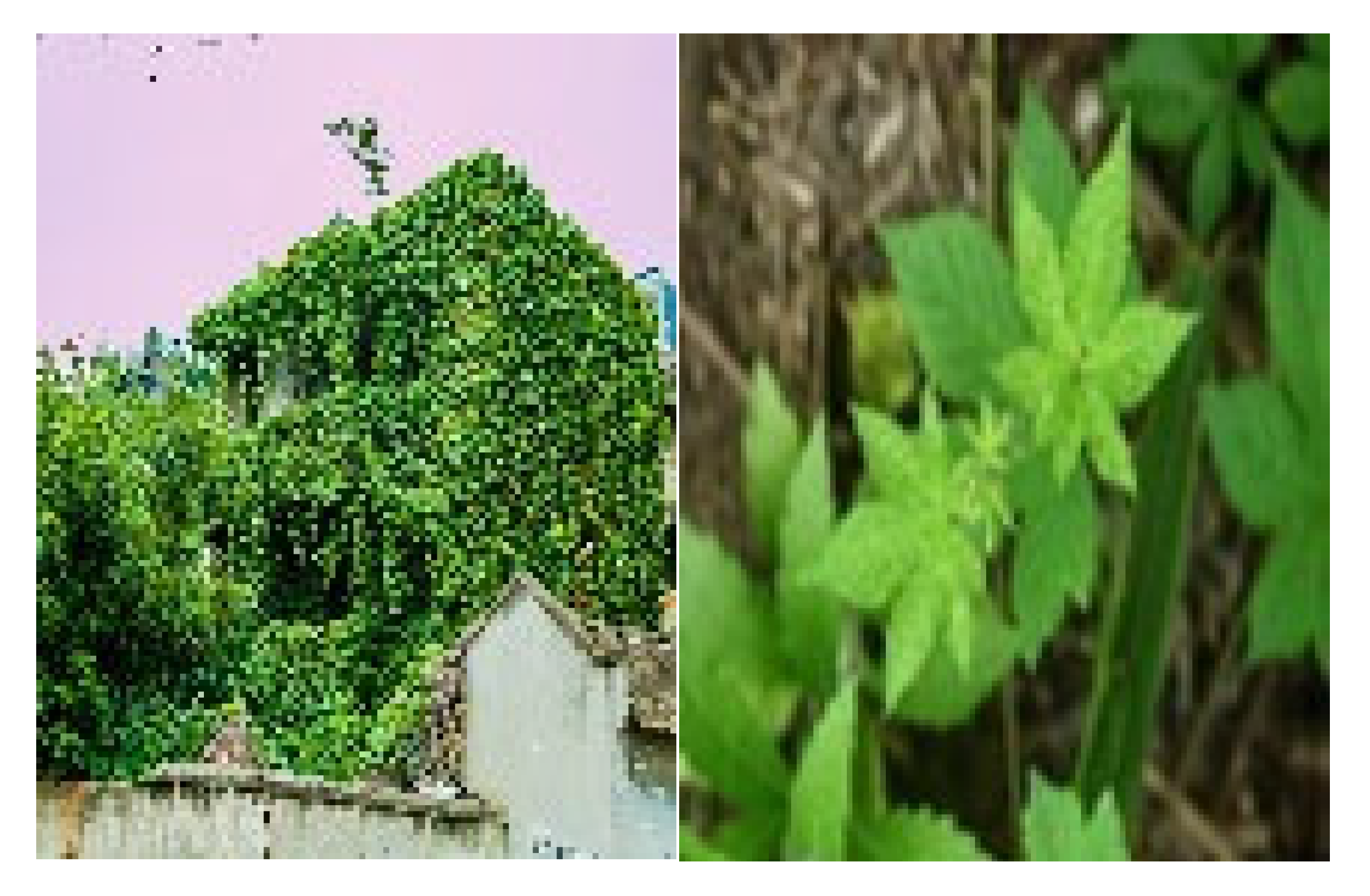 Sustainability 17 05176 i003