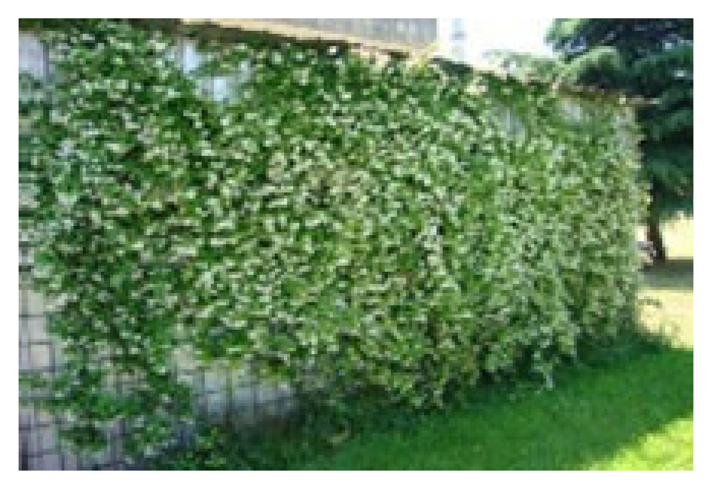 Sustainability 17 05176 i005