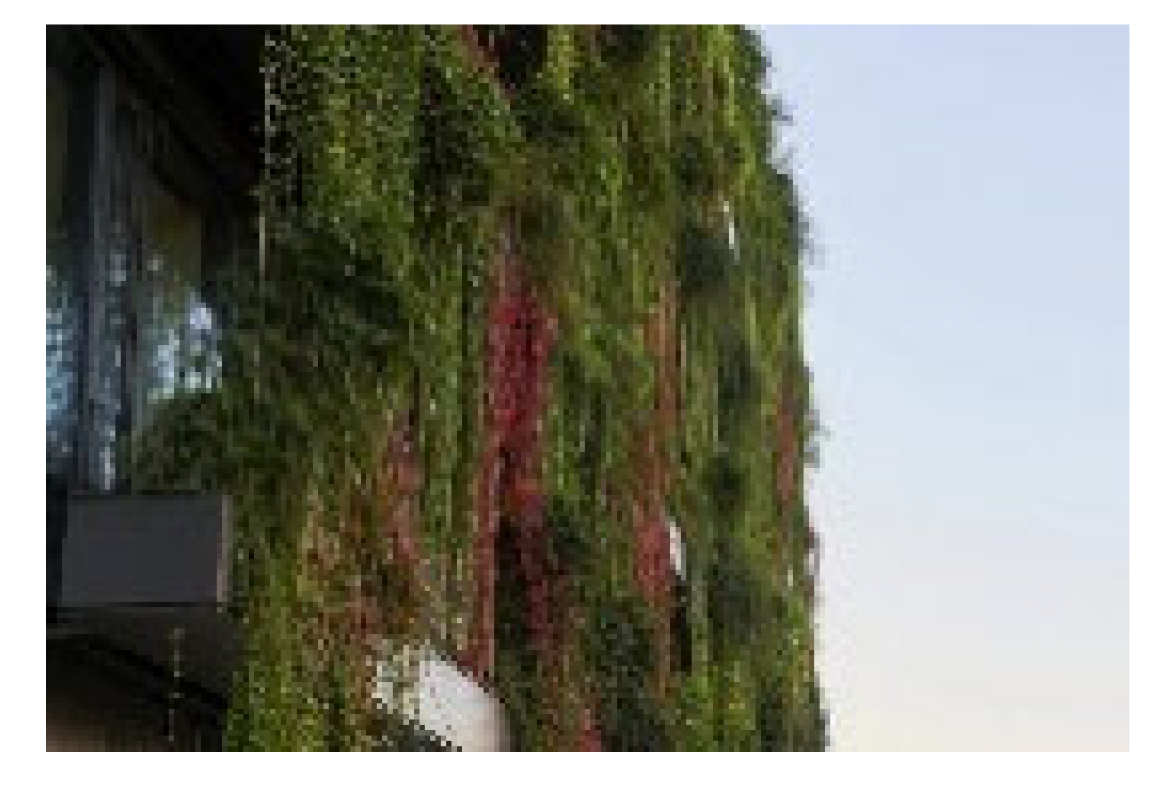 Sustainability 17 05176 i006