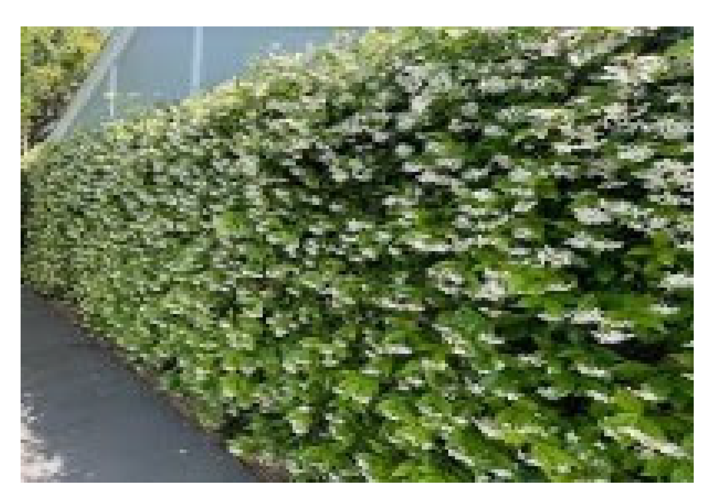 Sustainability 17 05176 i007