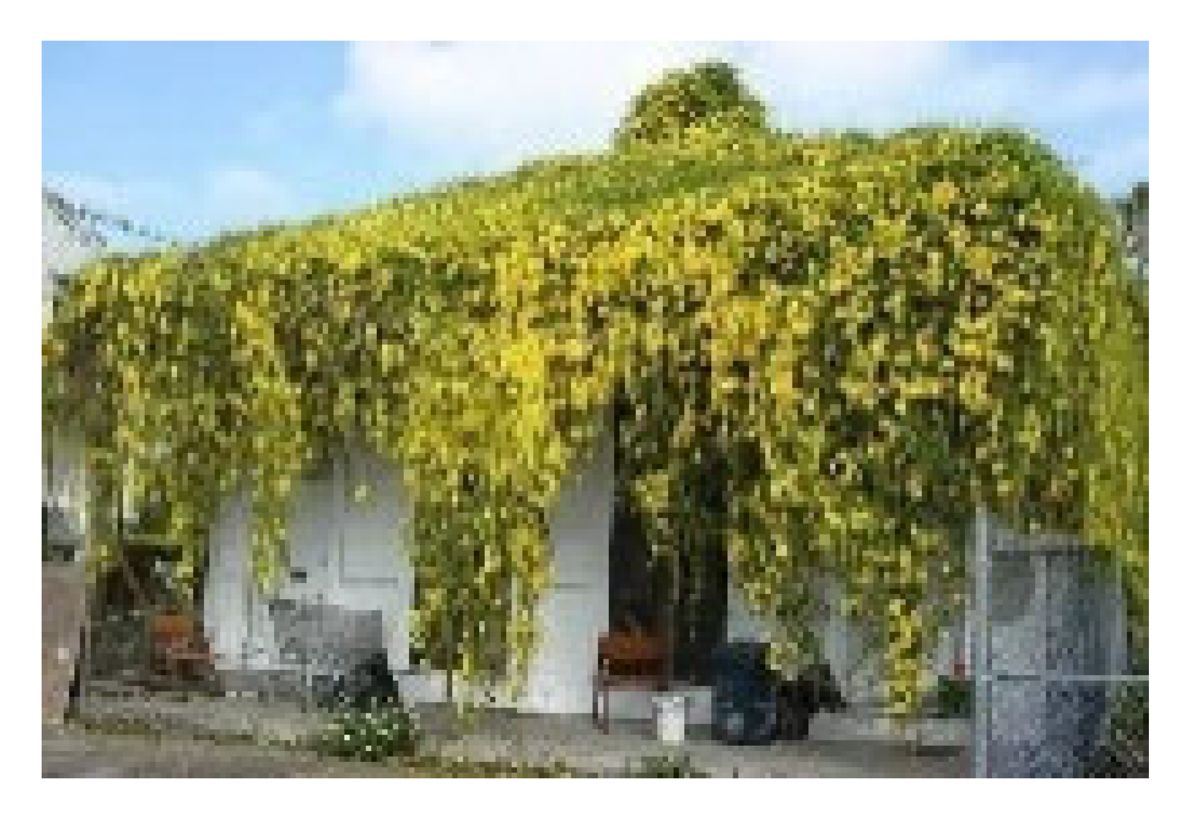 Sustainability 17 05176 i008