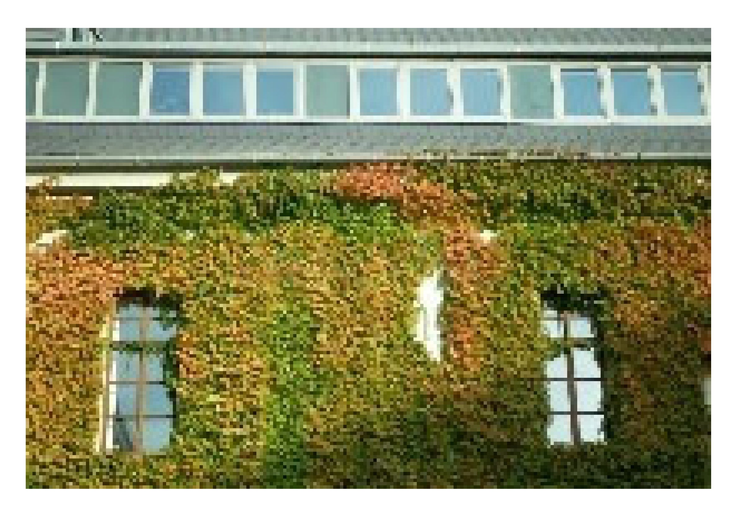 Sustainability 17 05176 i009