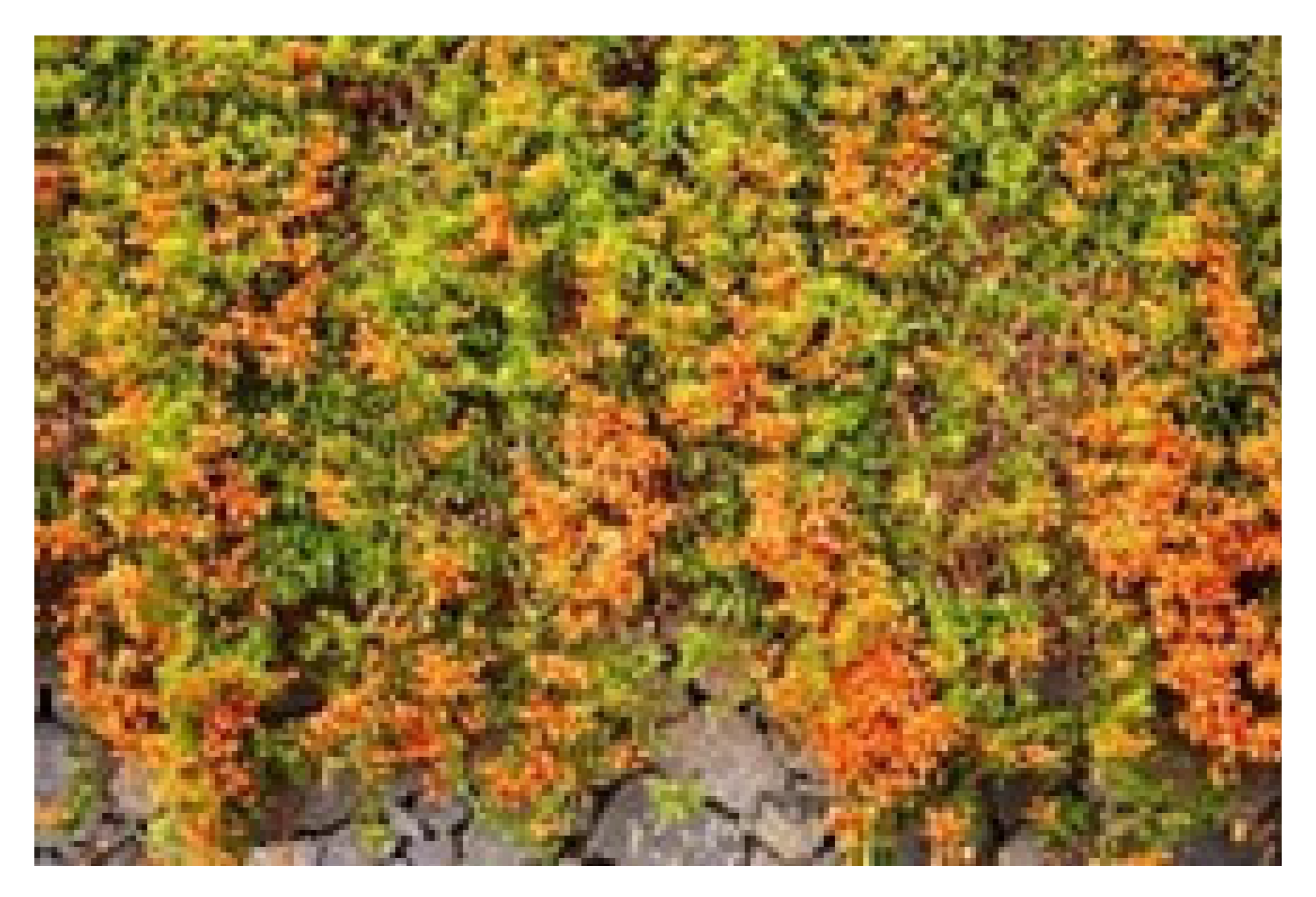 Sustainability 17 05176 i010