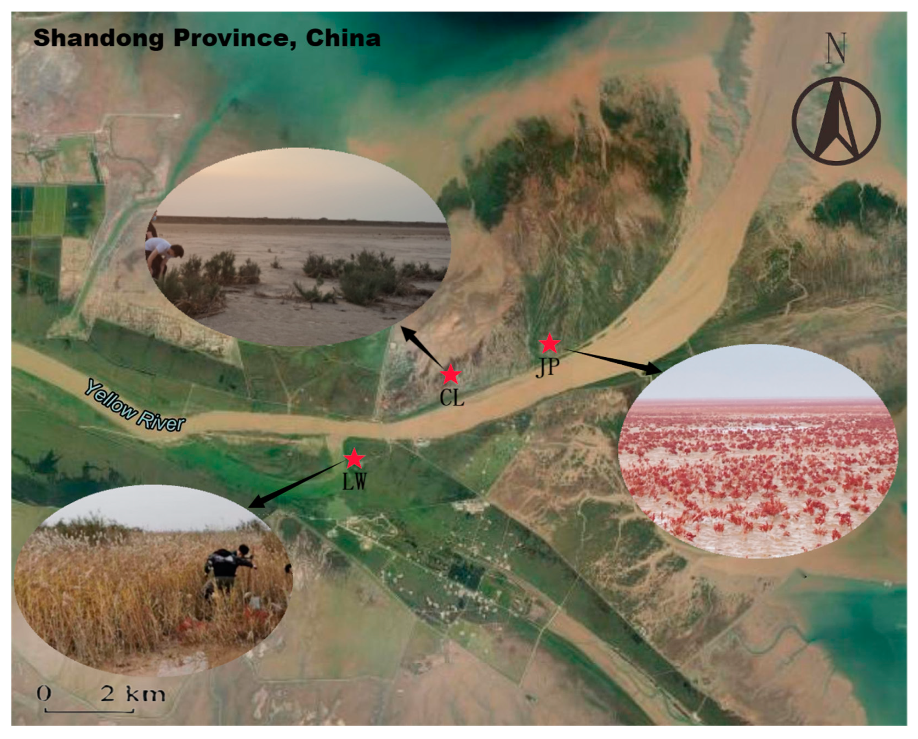 Sustainability 17 05188 g001