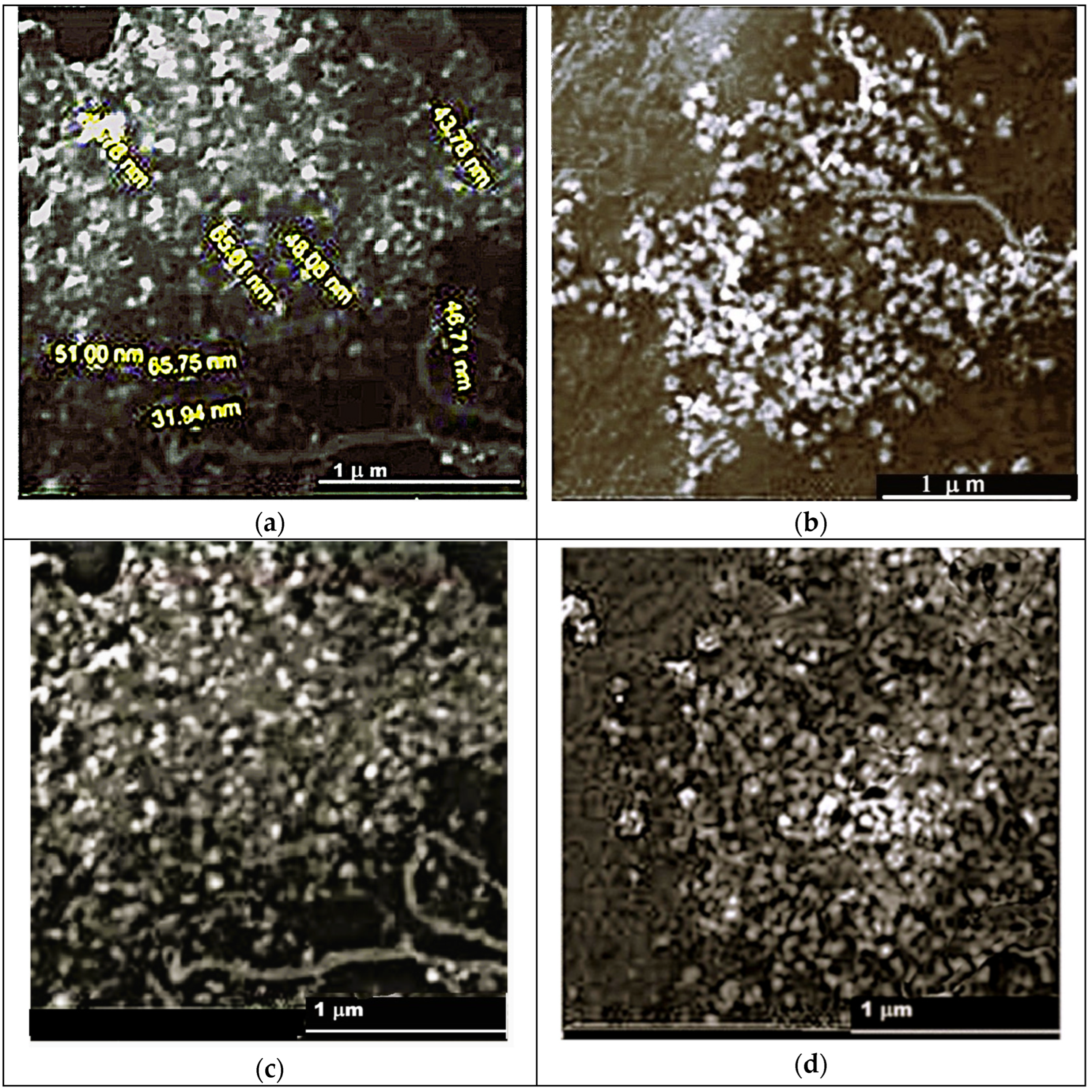 Sustainability 17 05321 g006