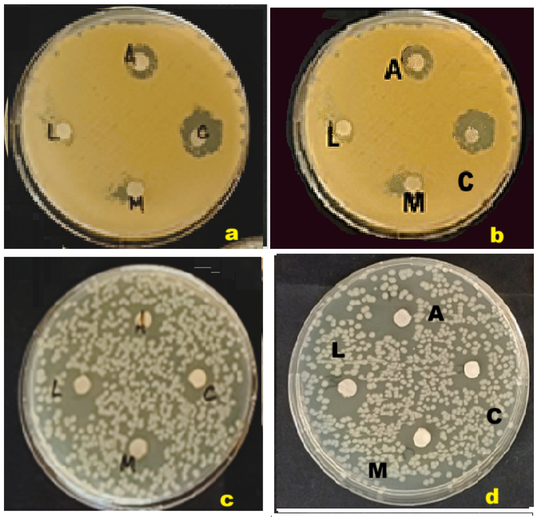 Sustainability 17 05321 g014