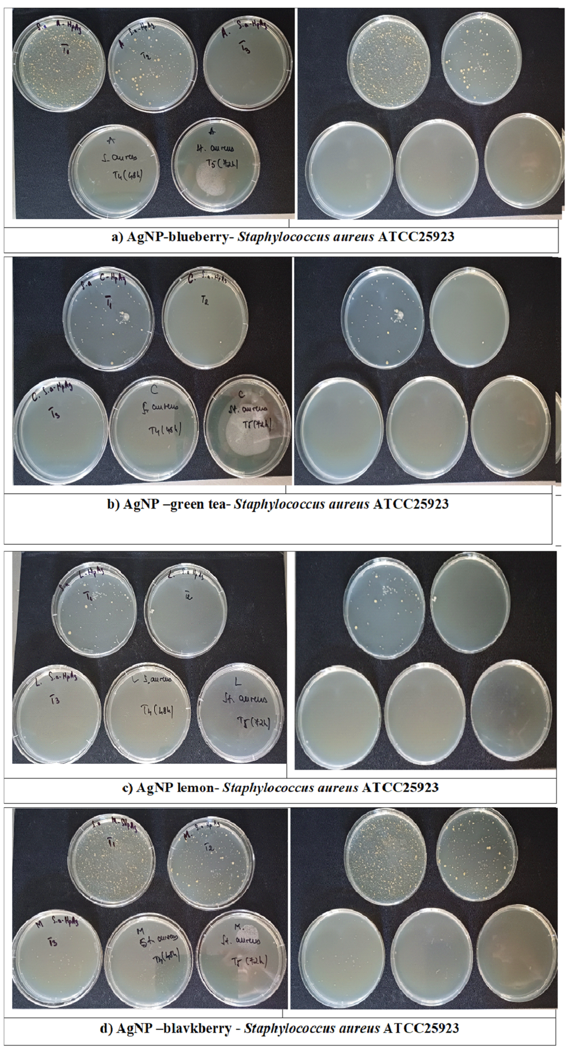 Sustainability 17 05321 g016a