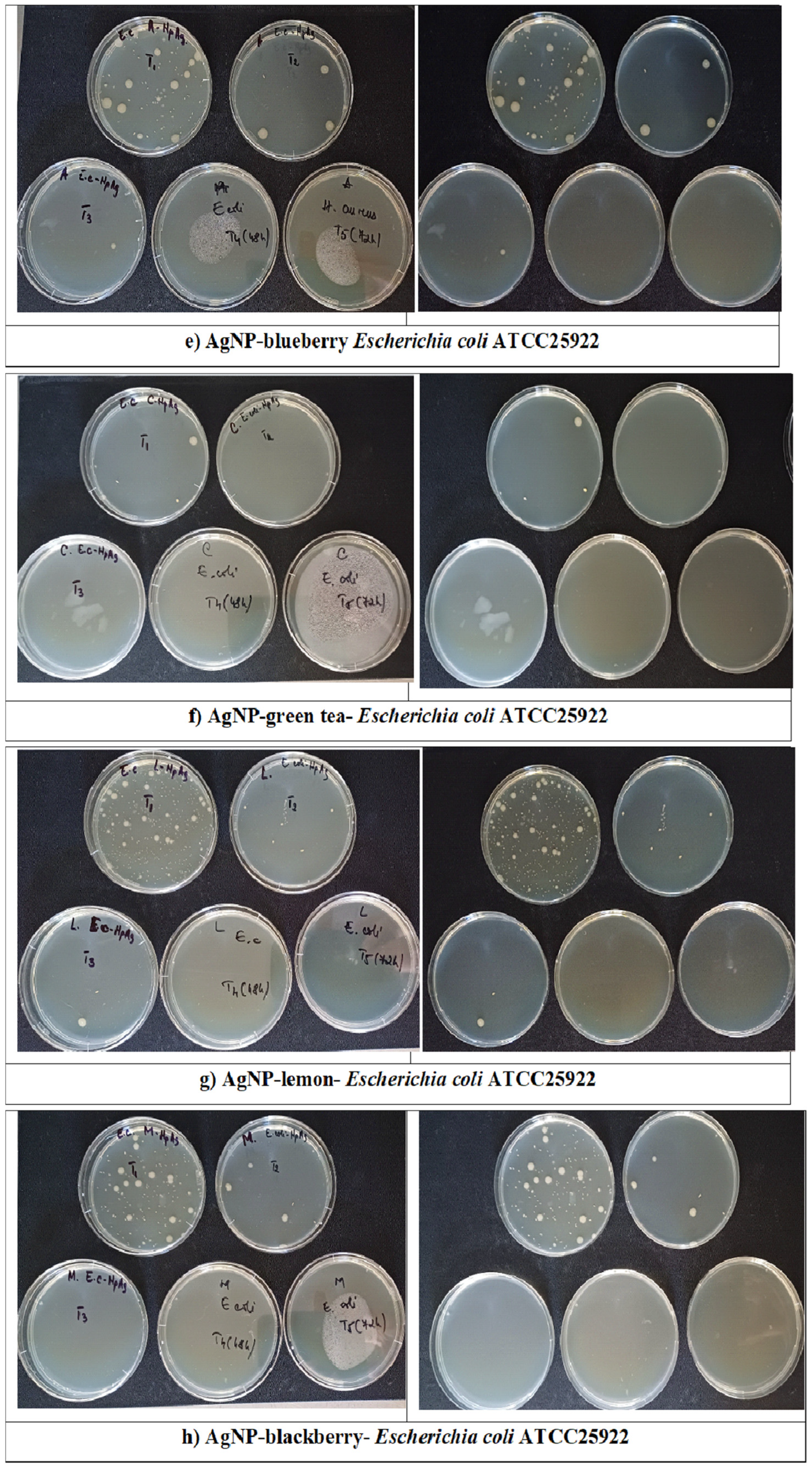 Sustainability 17 05321 g016b