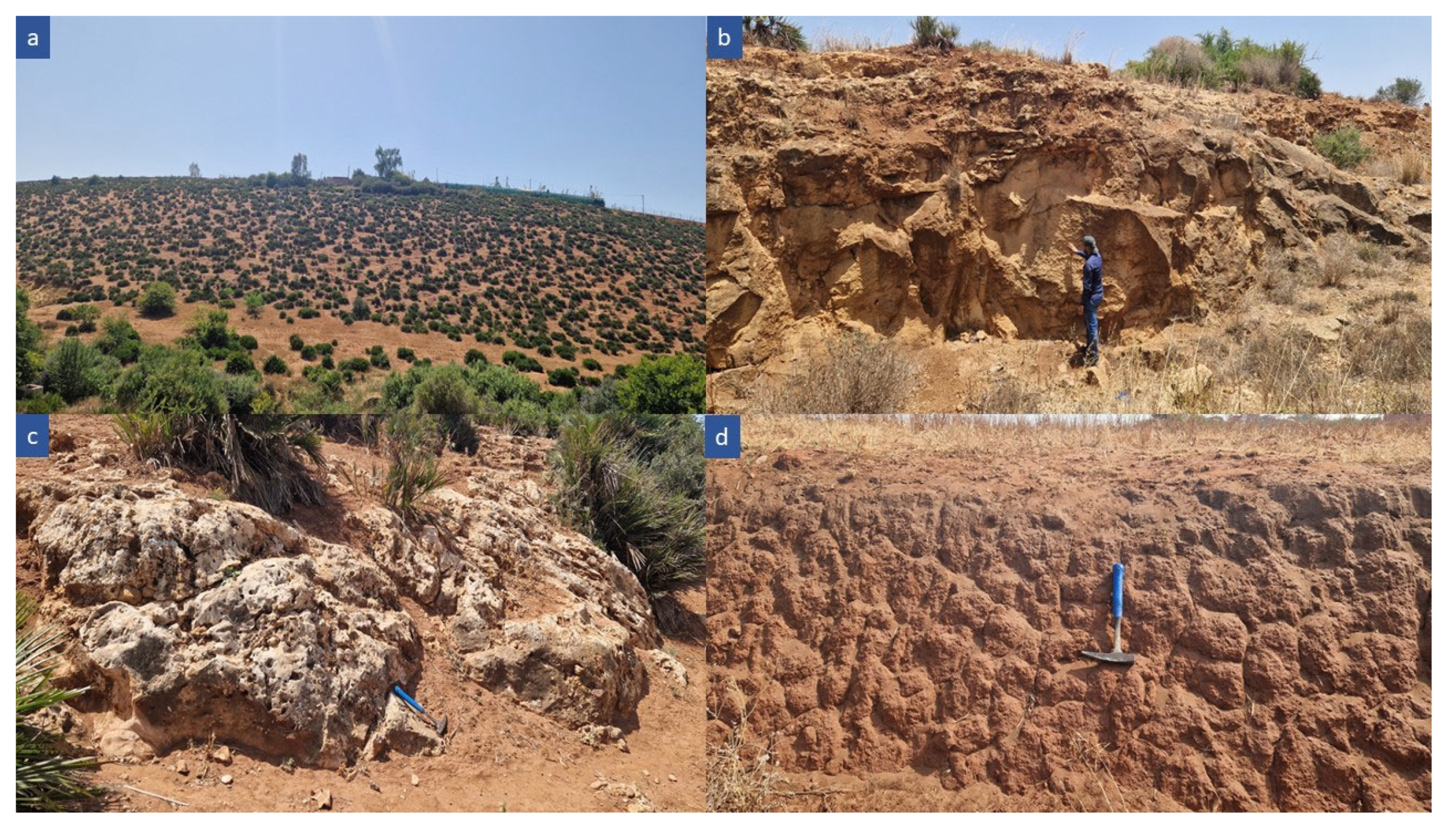 Sustainability 17 05392 g017