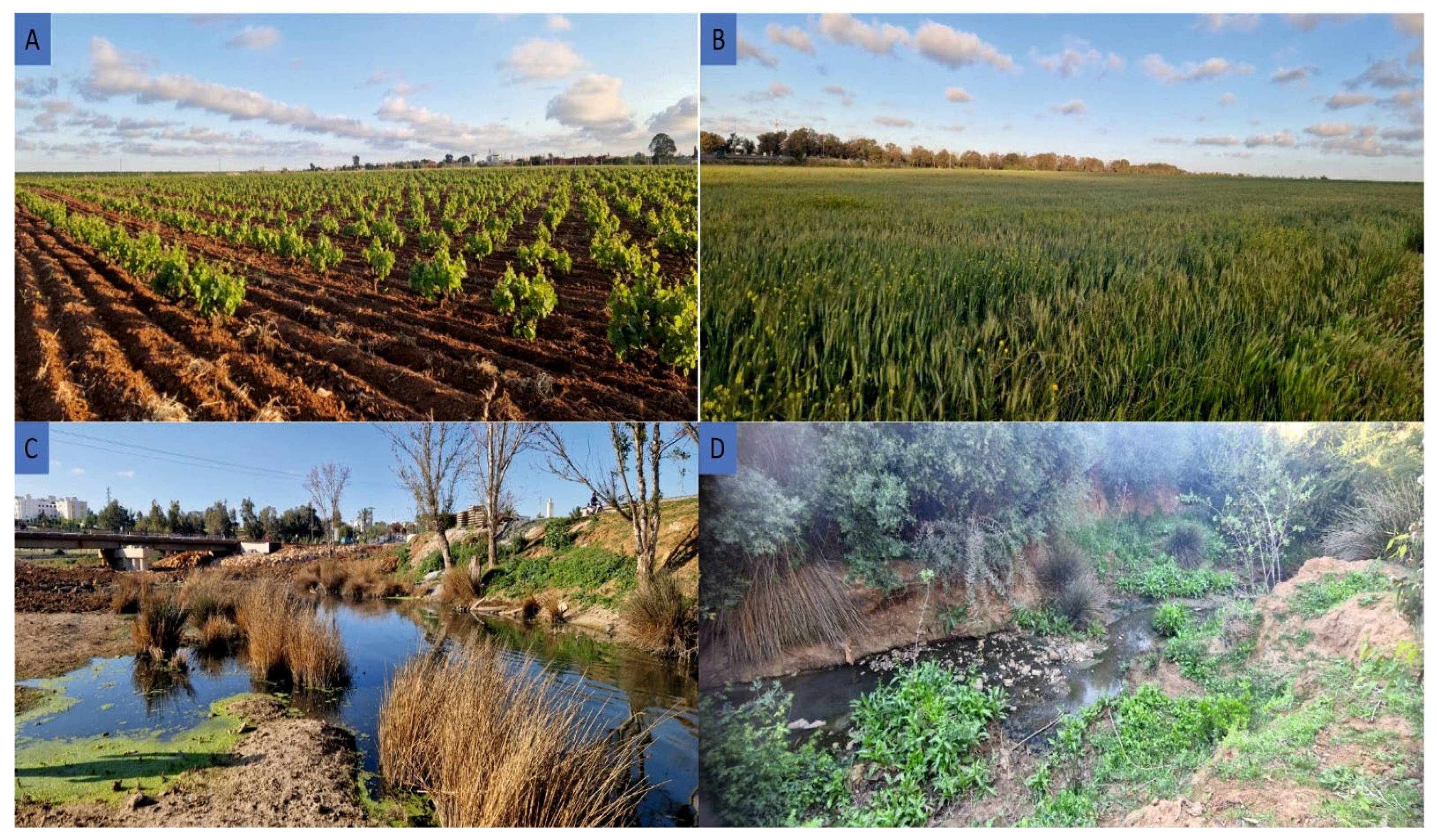 Sustainability 17 05392 g018