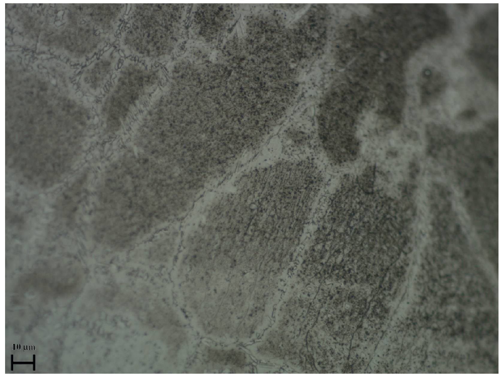 Sustainability 17 05438 g020