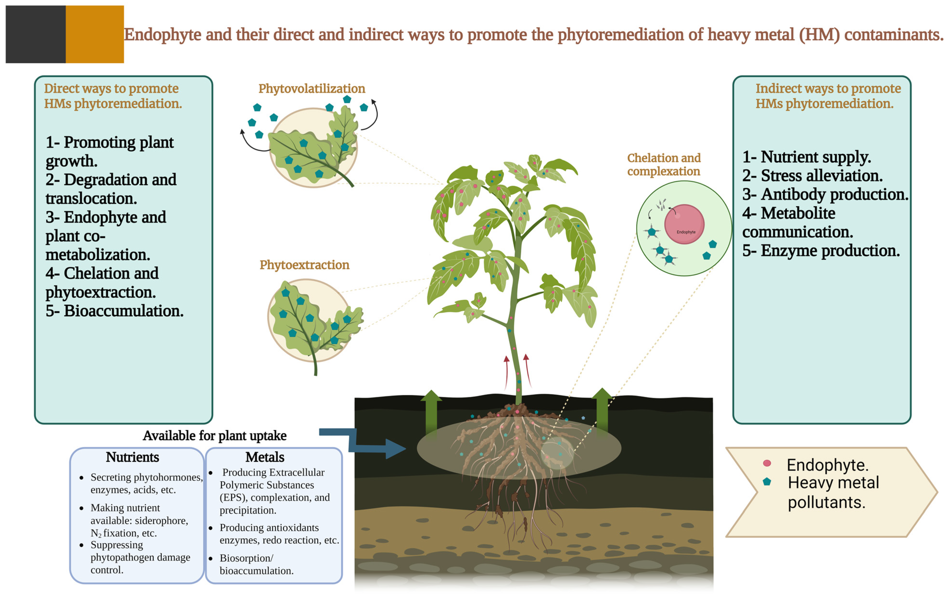 Sustainability 17 05688 g005