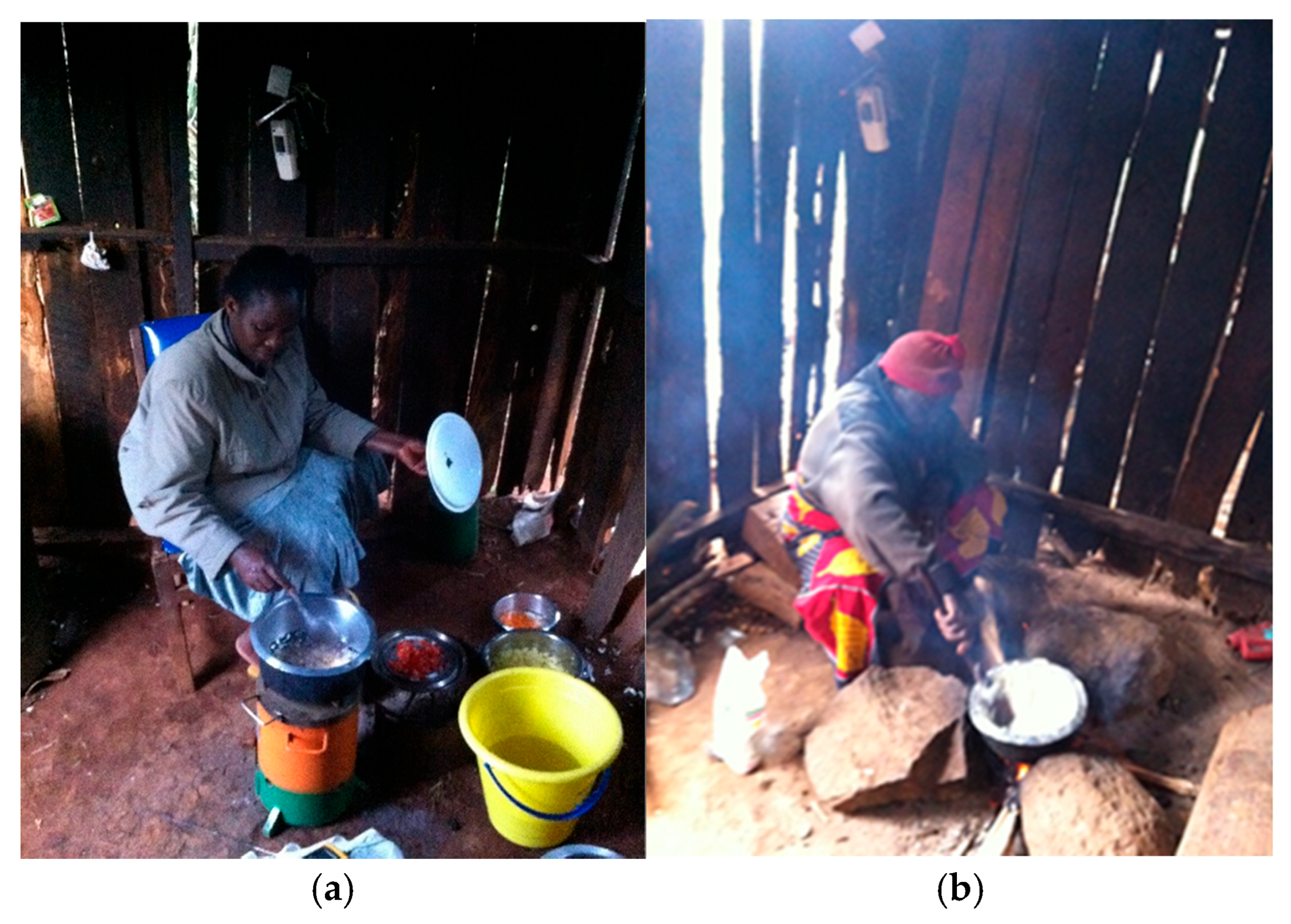 Sustainability 17 05872 g003