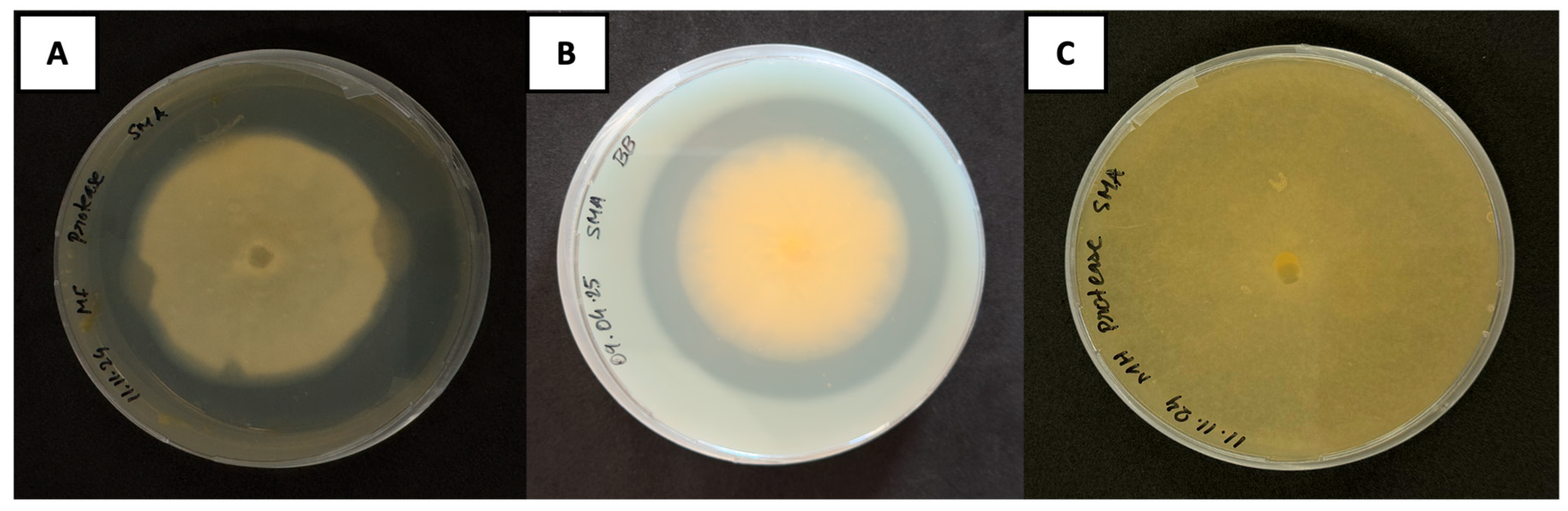 Sustainability 17 05897 g007