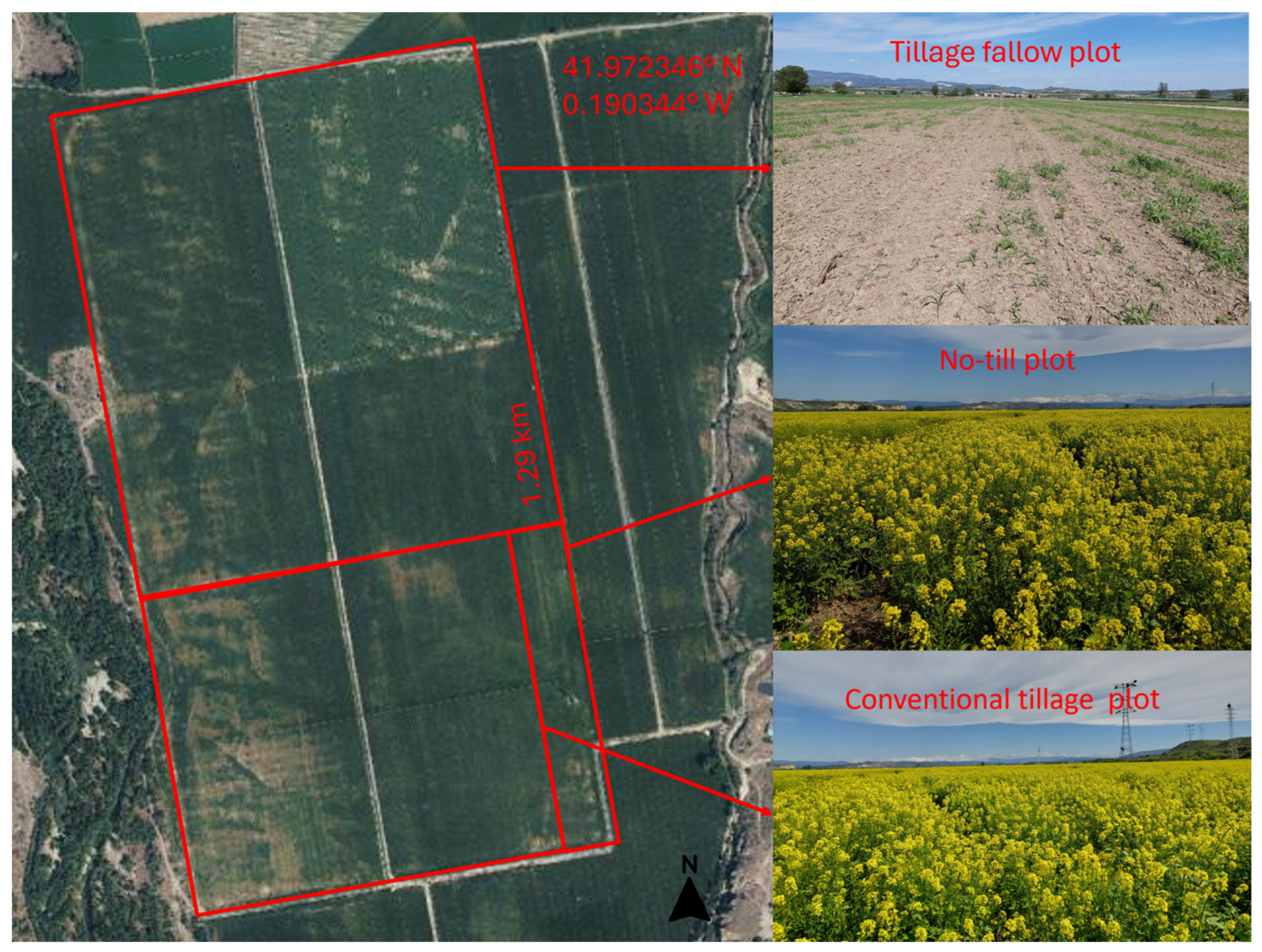 Sustainability 17 05949 g001