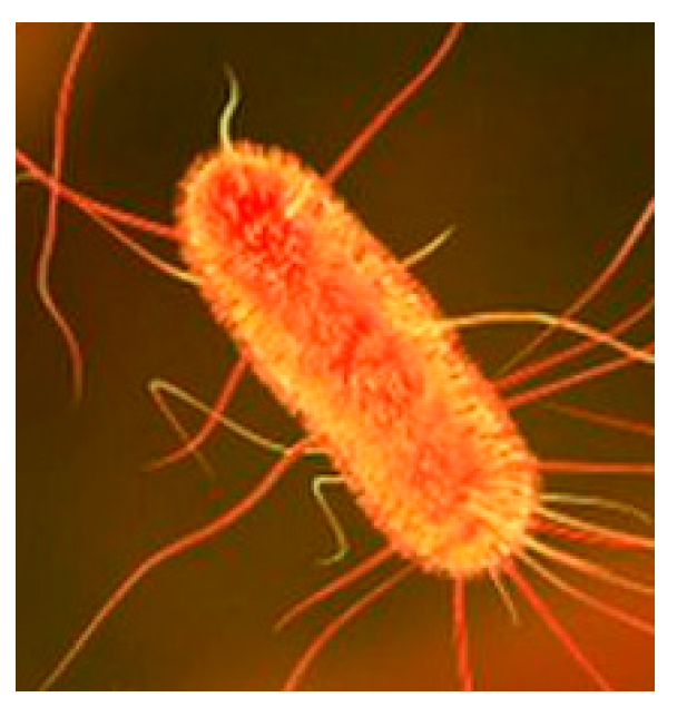 Sustainability 17 05963 g005