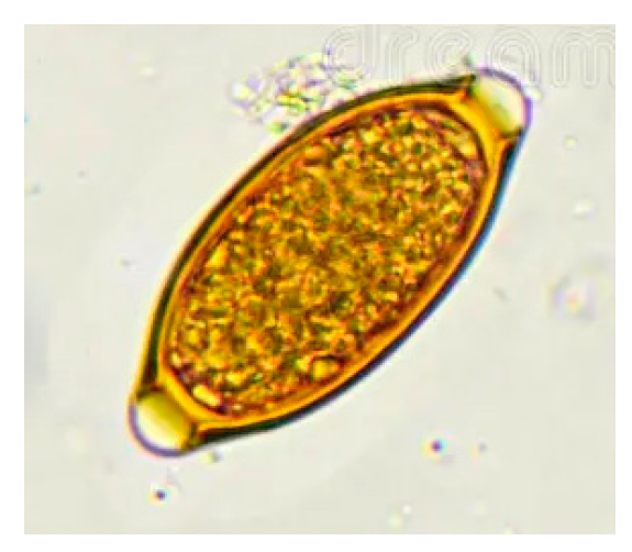 Sustainability 17 05963 g006