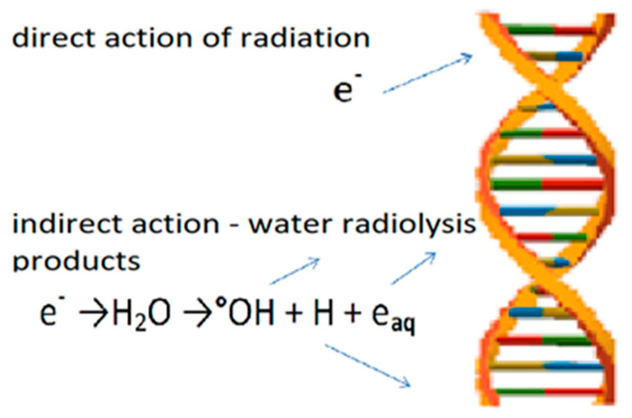 Sustainability 17 05963 g008