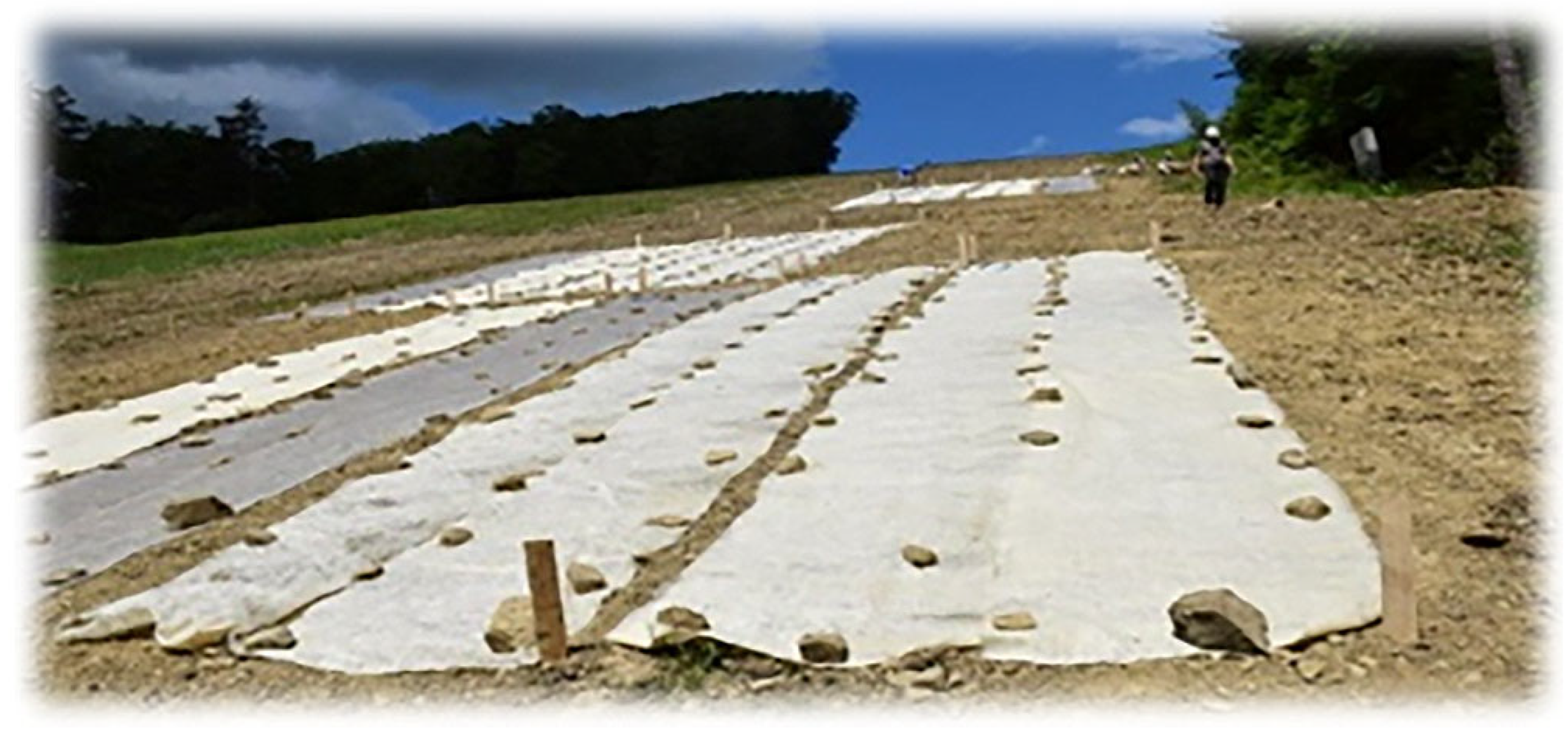 Sustainability 17 05997 g001 Sustainability 17 05997 g001