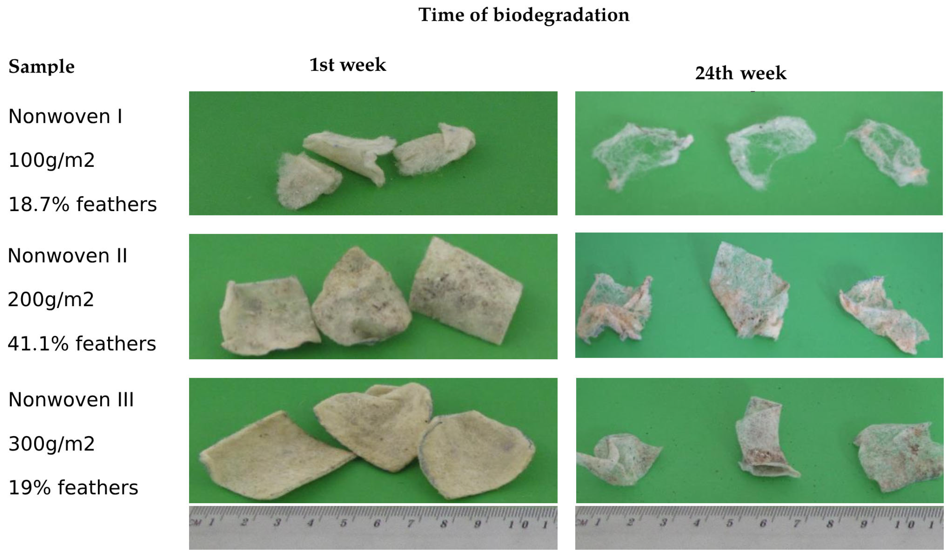 Sustainability 17 05997 g003 Sustainability 17 05997 g003