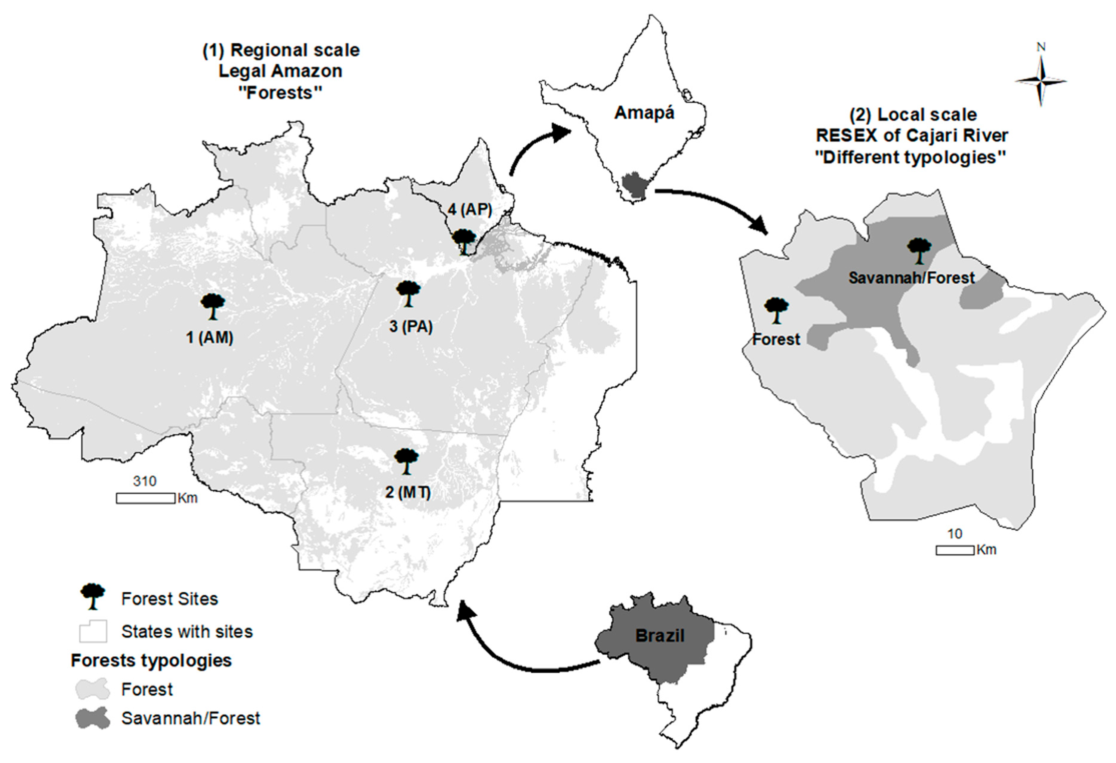 Sustainability 17 06049 g001