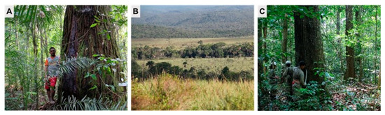 Sustainability 17 06049 g0a1