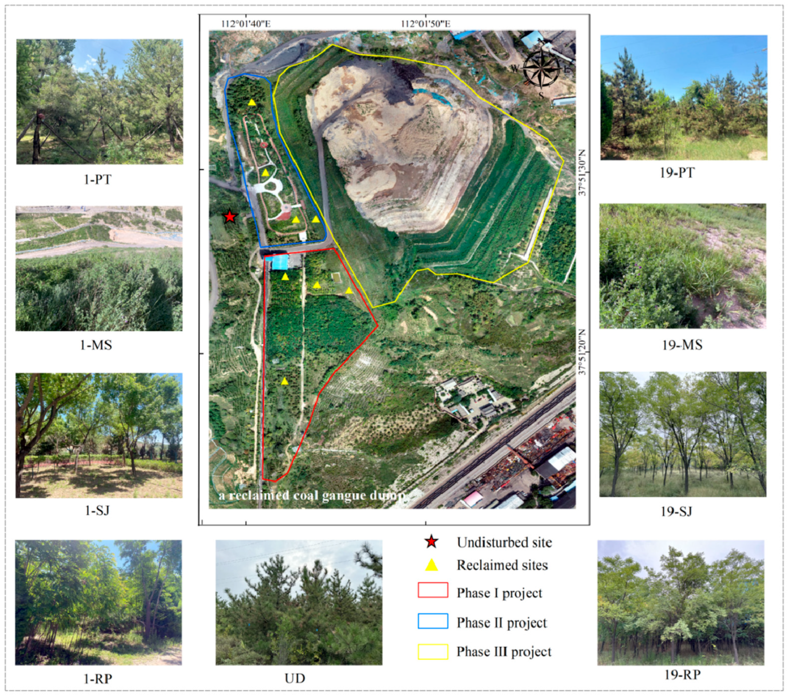 Sustainability 17 06130 g001