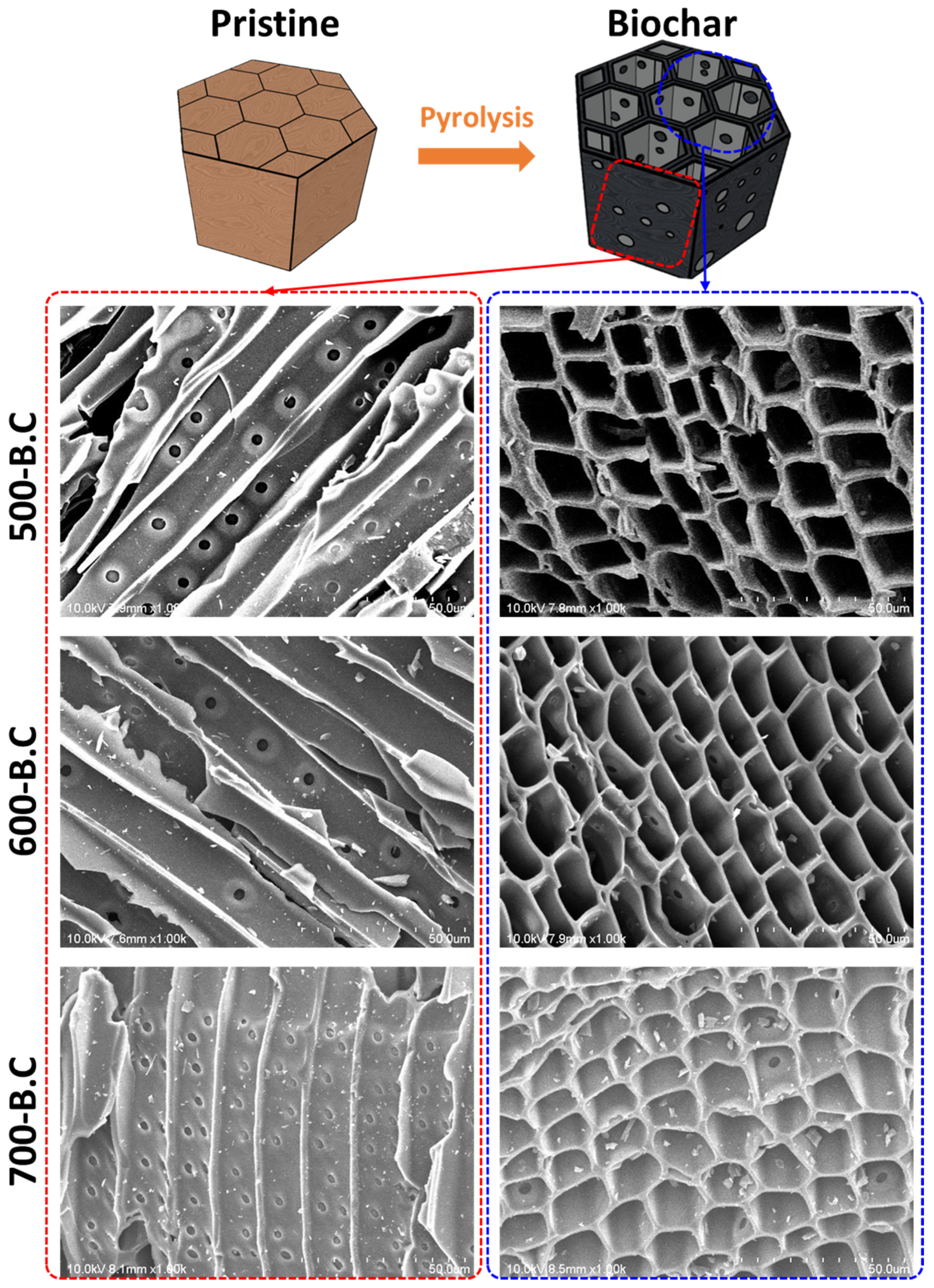 Sustainability 17 06137 g004