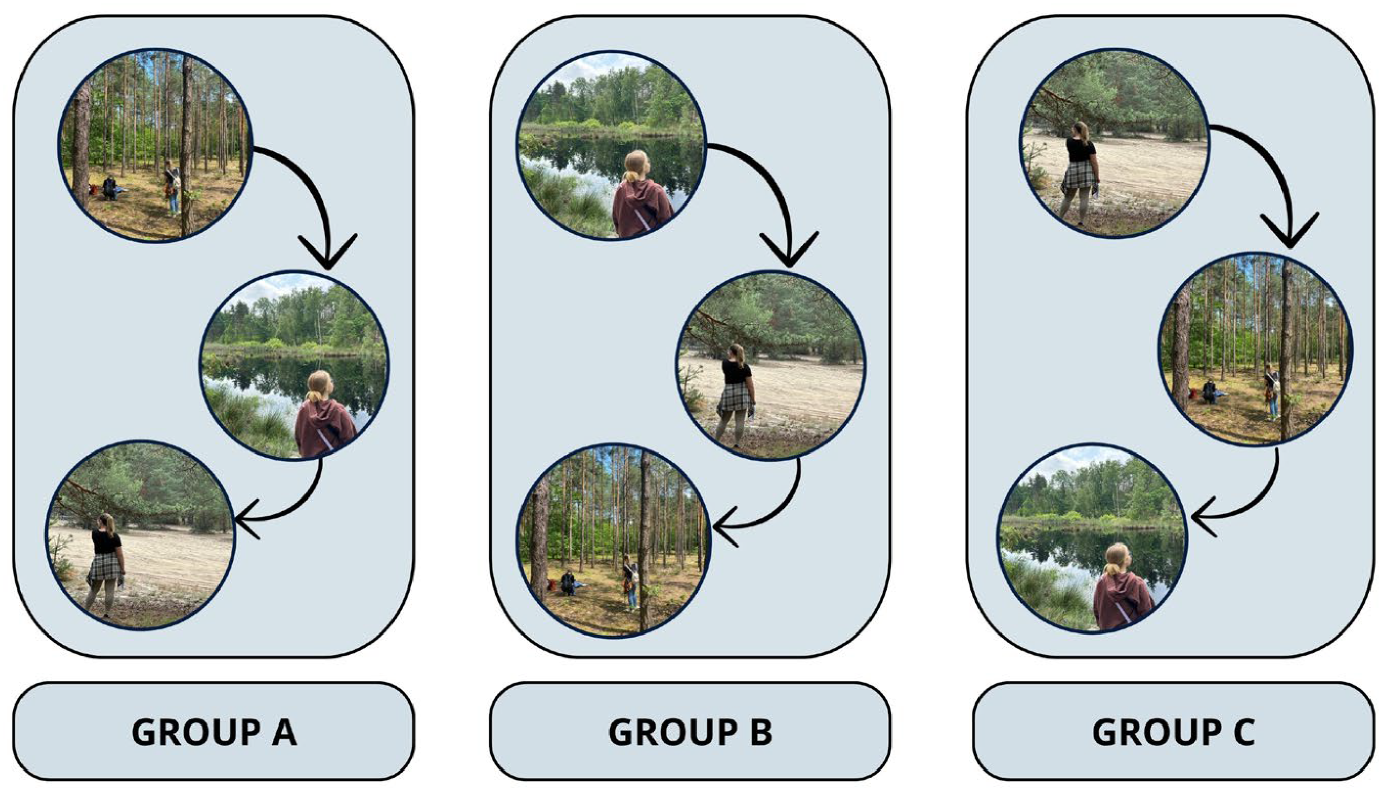 Sustainability 17 06233 g003