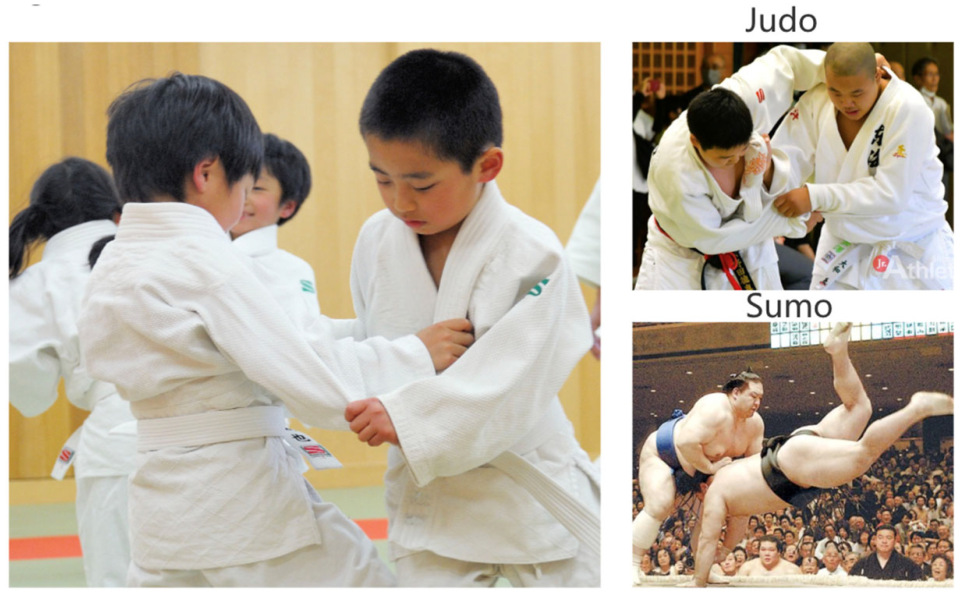 Sustainability 17 06244 g009