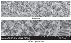 Sustainability 17 06294 i001