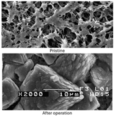 Sustainability 17 06294 i002