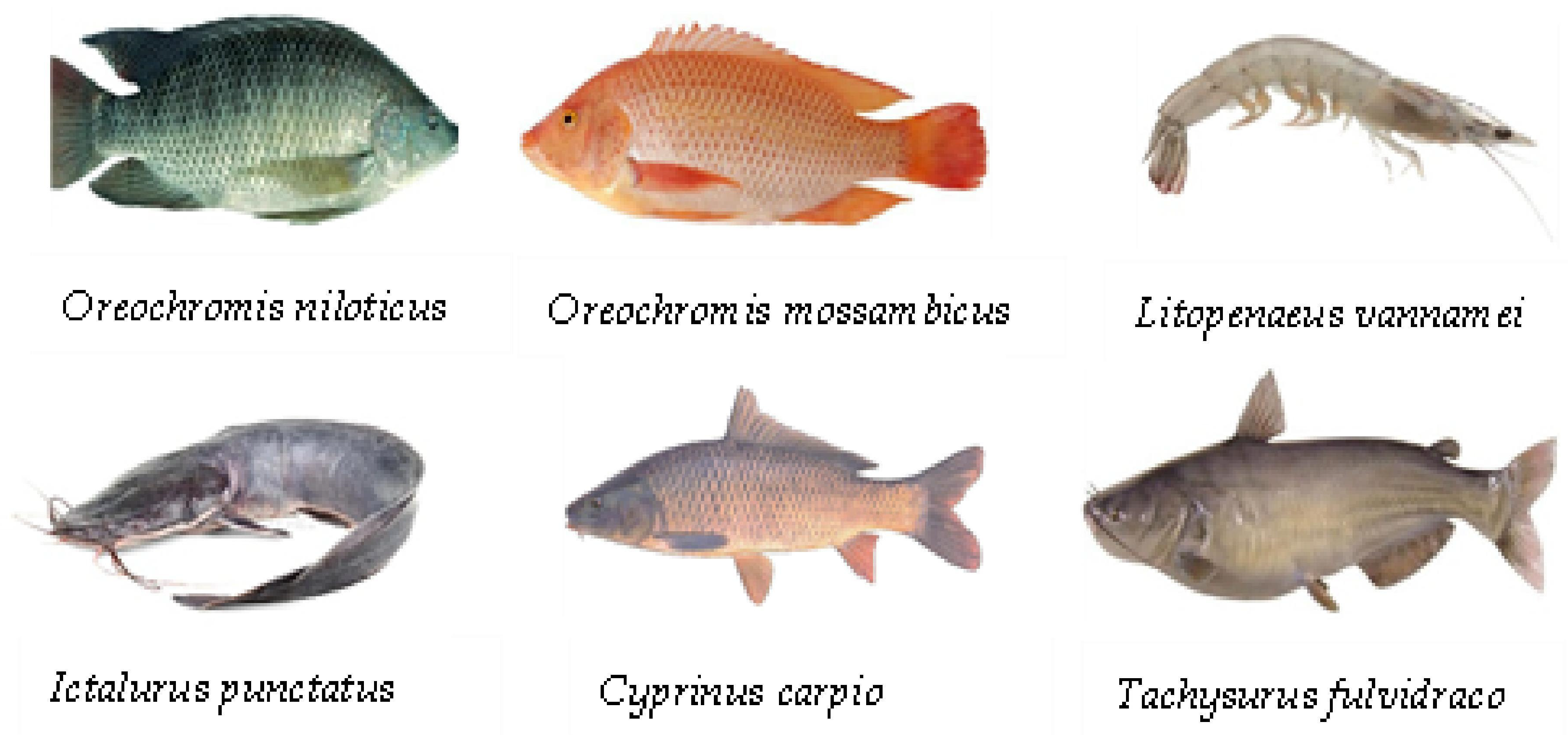 Sustainability 17 06298 g002