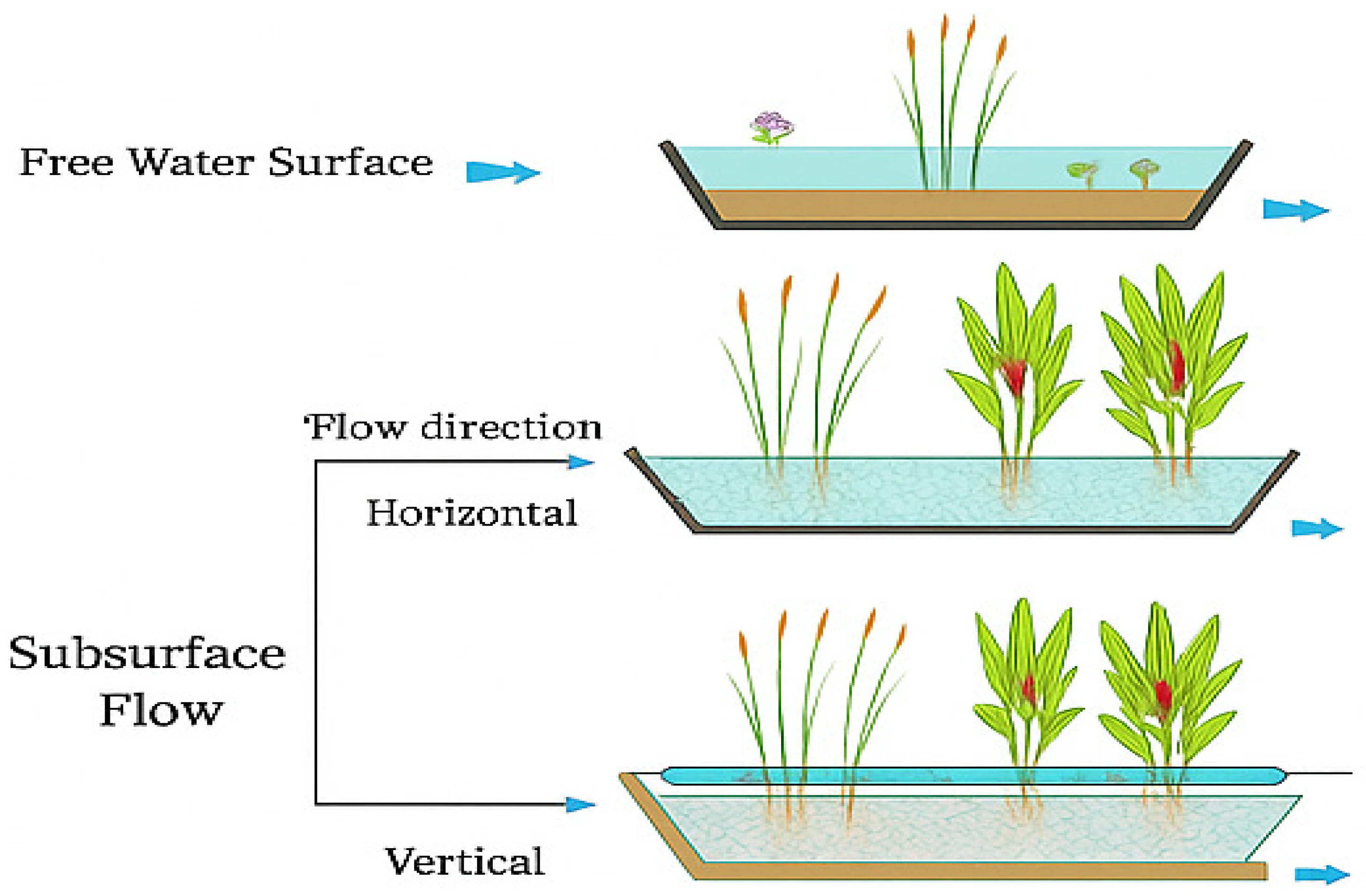 Sustainability 17 06298 g005
