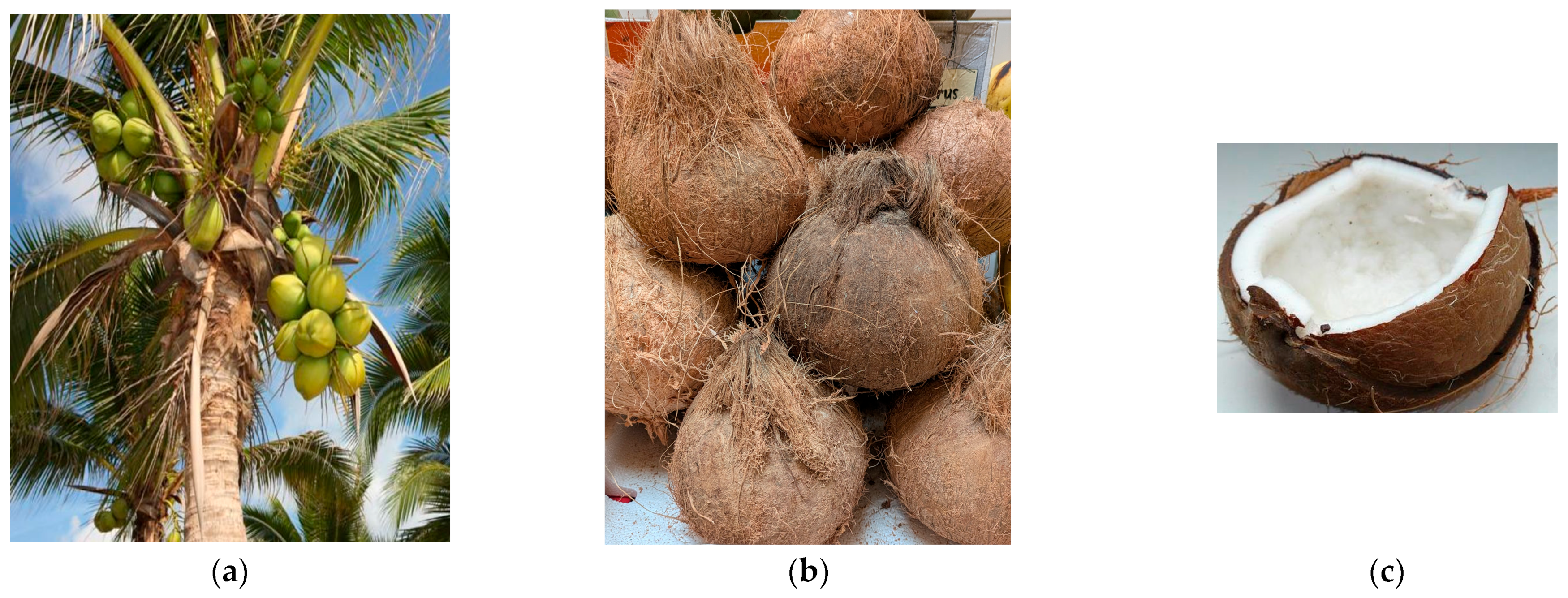 Sustainability 17 06306 g001